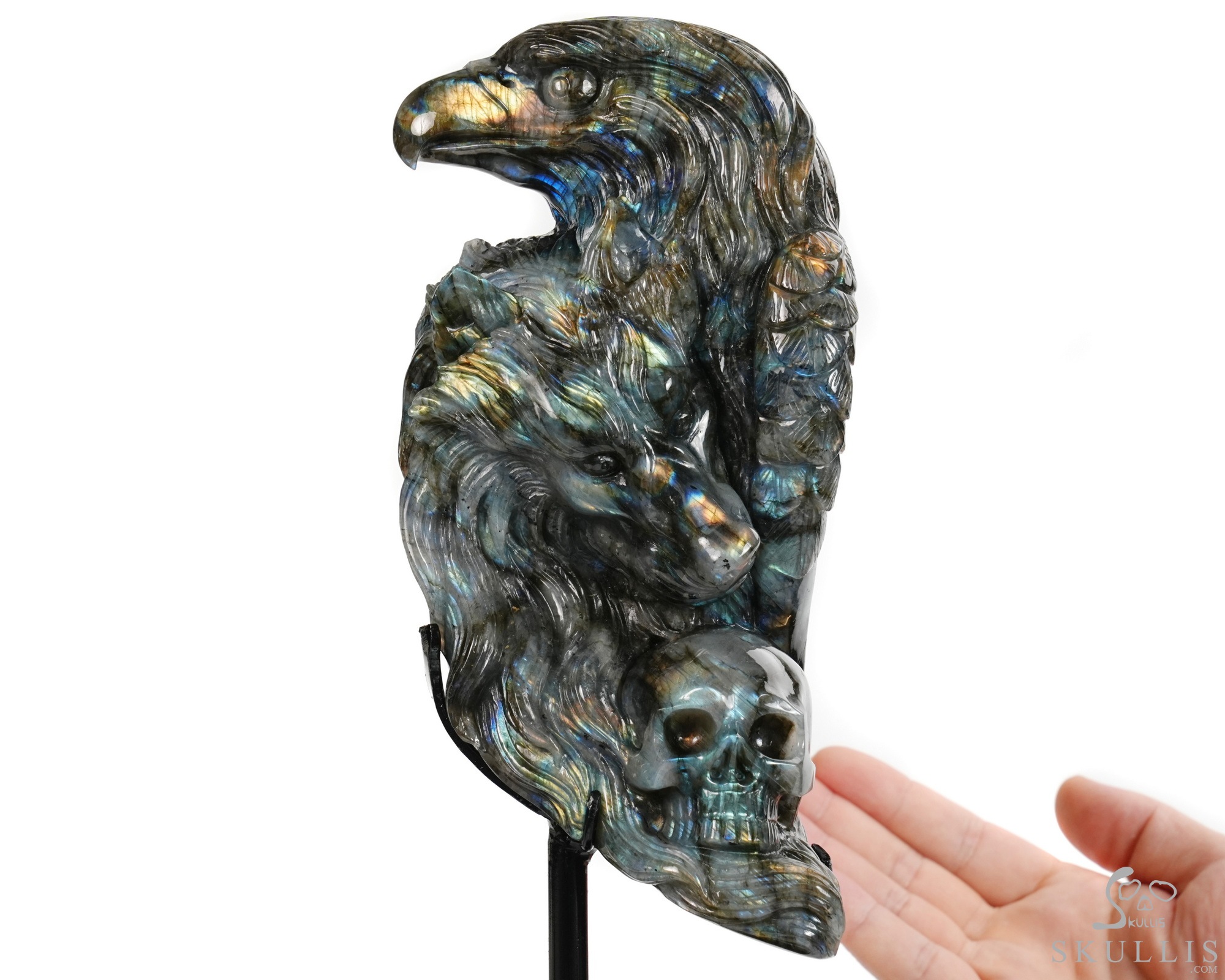 June 9, 2026 ACSAD (A Crystal Skull a Day) - Shamanic Soul - 6.3" Carved Labradorite Eagle Wolf Crystal Skull Fine Art Sculpture, Crystal Healing June 9, 2026 ACSAD (A Crystal Skull a Day) - Shamanic Soul - 6.3" Carved Labradorite Eagle Wolf Crystal Skull Fine Art Sculpture, Crystal Healing