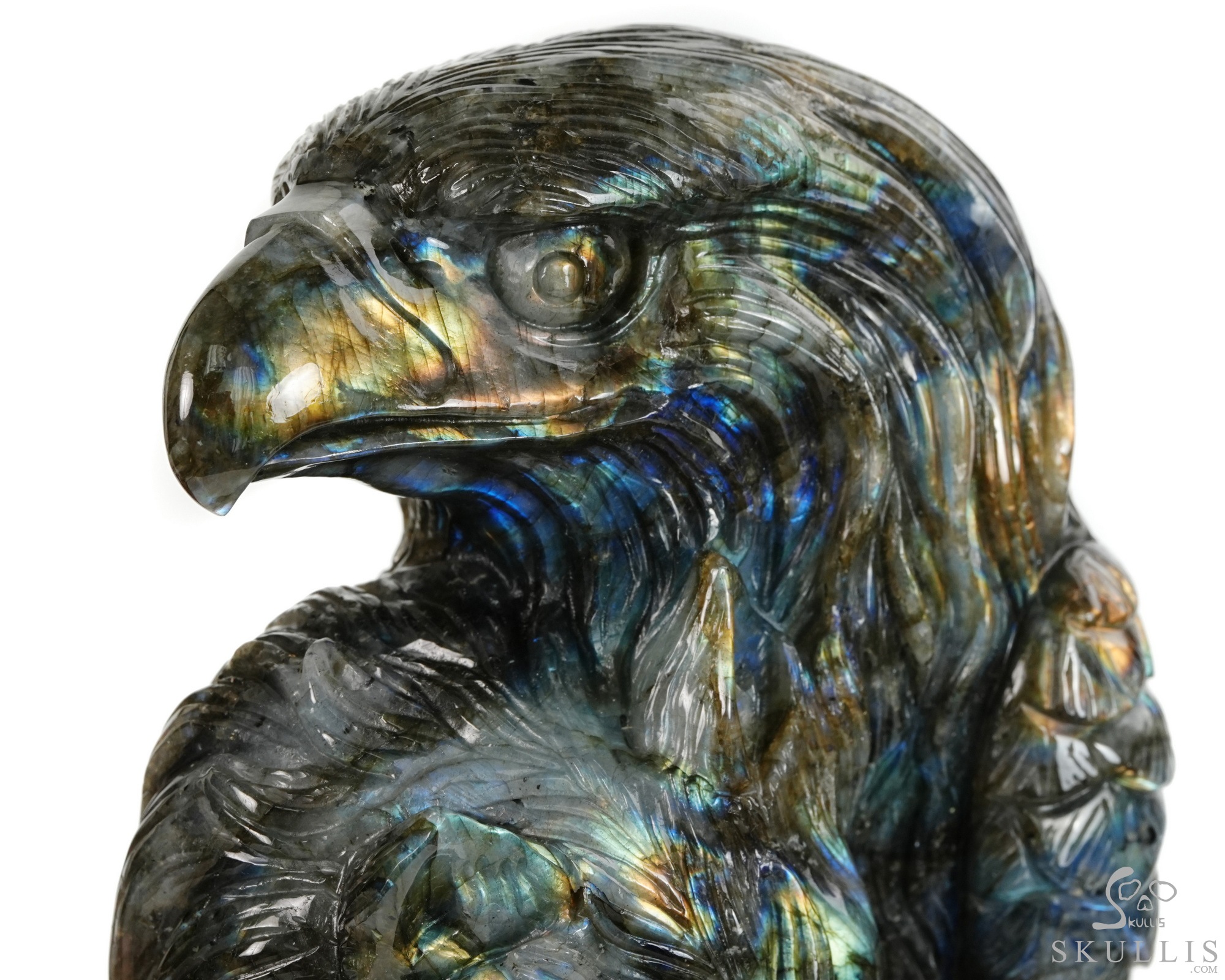 June 9, 2026 ACSAD (A Crystal Skull a Day) - Shamanic Soul - 6.3" Carved Labradorite Eagle Wolf Crystal Skull Fine Art Sculpture, Crystal Healing June 9, 2026 ACSAD (A Crystal Skull a Day) - Shamanic Soul - 6.3" Carved Labradorite Eagle Wolf Crystal Skull Fine Art Sculpture, Crystal Healing