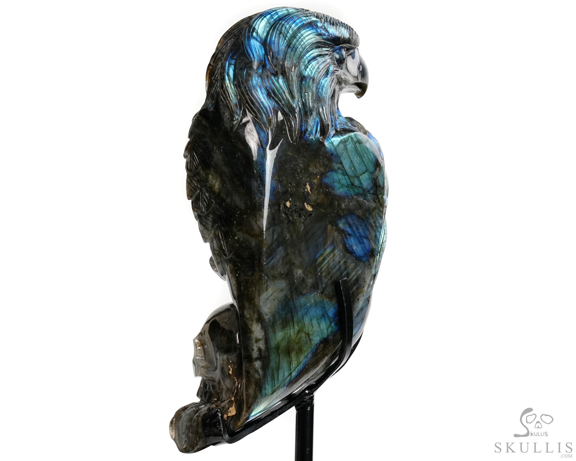 June 9, 2026 ACSAD (A Crystal Skull a Day) - Shamanic Soul - 6.3" Carved Labradorite Eagle Wolf Crystal Skull Fine Art Sculpture, Crystal Healing June 9, 2026 ACSAD (A Crystal Skull a Day) - Shamanic Soul - 6.3" Carved Labradorite Eagle Wolf Crystal Skull Fine Art Sculpture, Crystal Healing