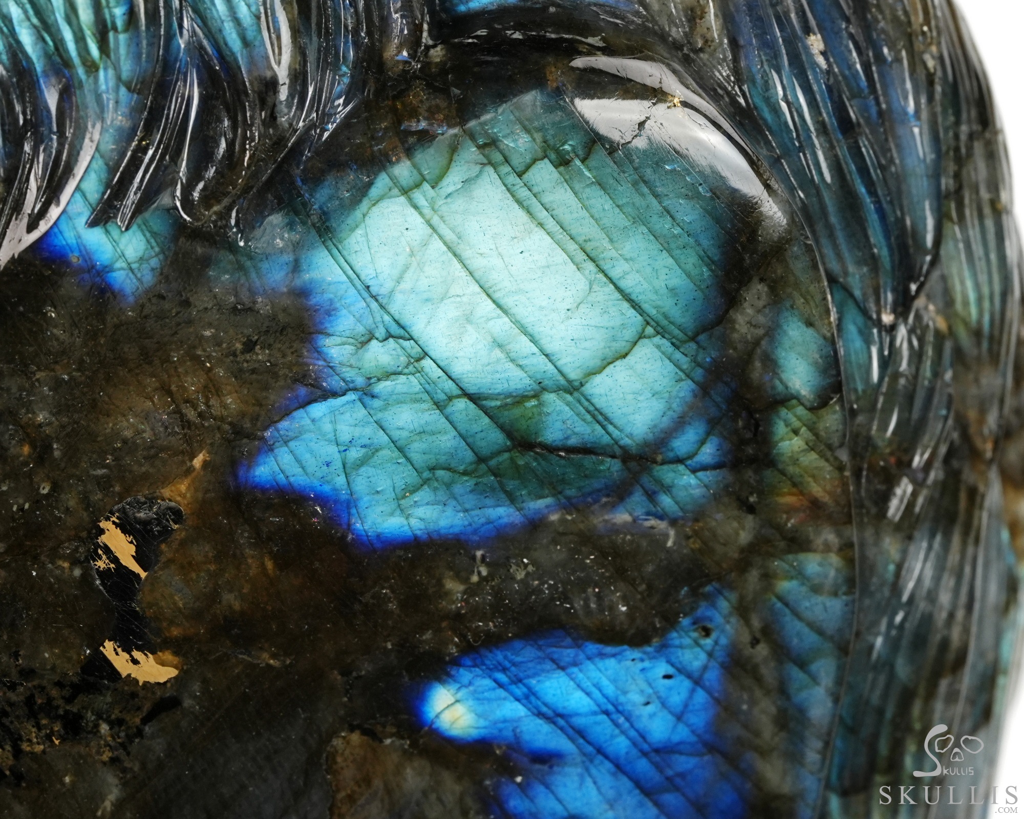 June 9, 2026 ACSAD (A Crystal Skull a Day) - Shamanic Soul - 6.3" Carved Labradorite Eagle Wolf Crystal Skull Fine Art Sculpture, Crystal Healing June 9, 2026 ACSAD (A Crystal Skull a Day) - Shamanic Soul - 6.3" Carved Labradorite Eagle Wolf Crystal Skull Fine Art Sculpture, Crystal Healing
