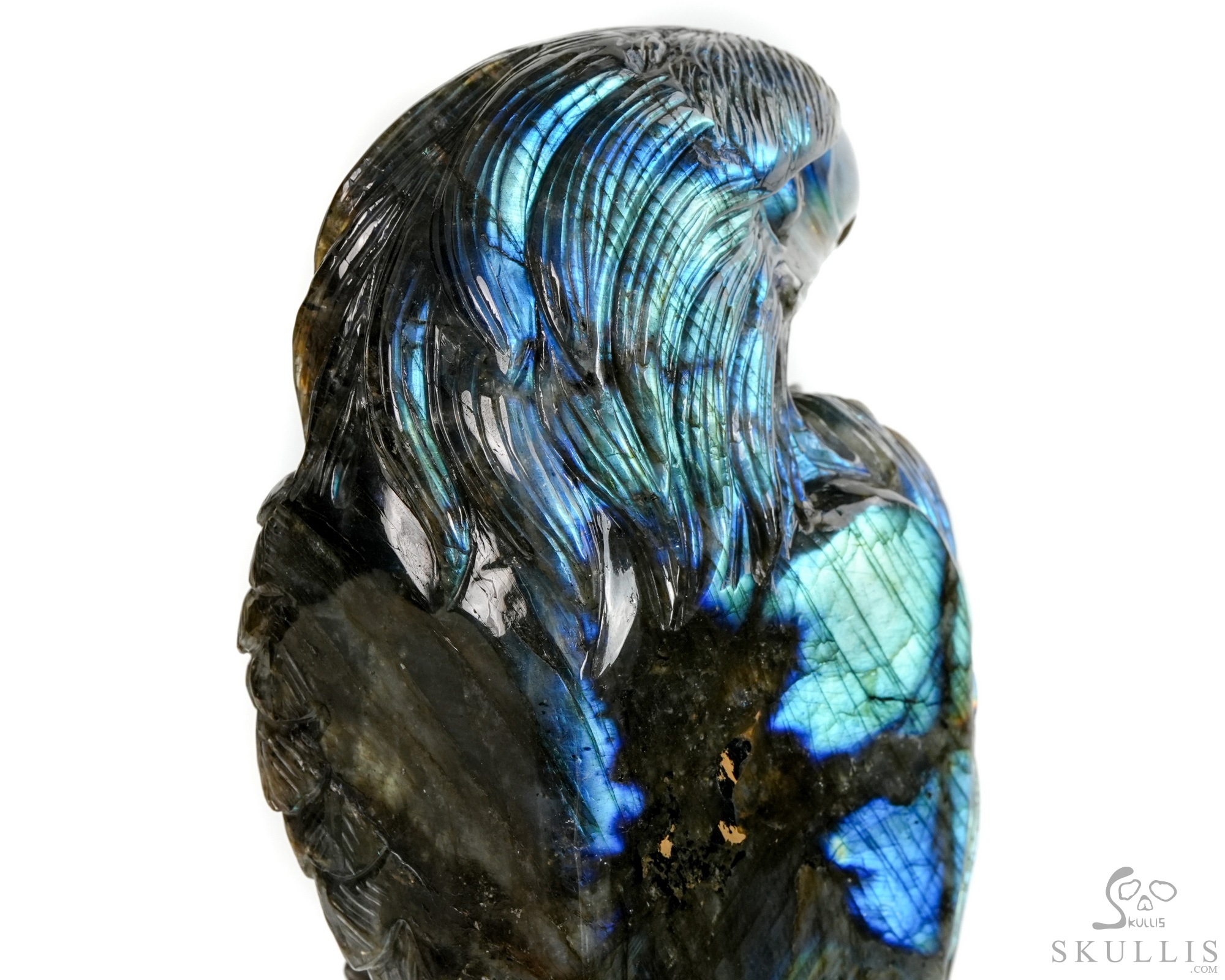 June 9, 2026 ACSAD (A Crystal Skull a Day) - Shamanic Soul - 6.3" Carved Labradorite Eagle Wolf Crystal Skull Fine Art Sculpture, Crystal Healing June 9, 2026 ACSAD (A Crystal Skull a Day) - Shamanic Soul - 6.3" Carved Labradorite Eagle Wolf Crystal Skull Fine Art Sculpture, Crystal Healing