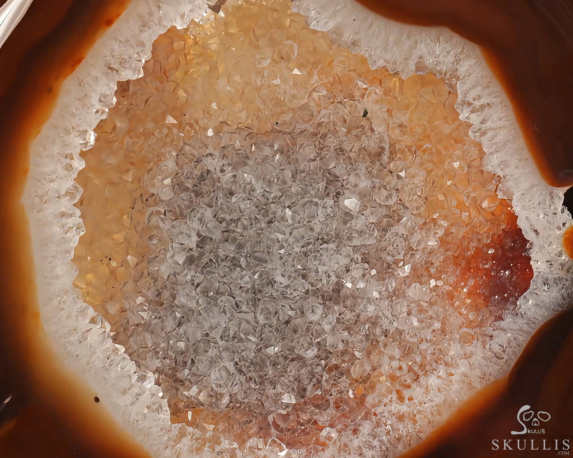 June 15, 2026 ACSAD (A Crystal Skull a Day) - Behind the Lattice - 9.1" Carved Premium Brazilian Agate Geode Spider Web Crystal Skull Sculpture With A Stand , Crystal Healing June 15, 2026 ACSAD (A Crystal Skull a Day) - Behind the Lattice - 9.1" Carved Premium Brazilian Agate Geode Spider Web Crystal Skull Sculpture With A Stand , Crystal Healing