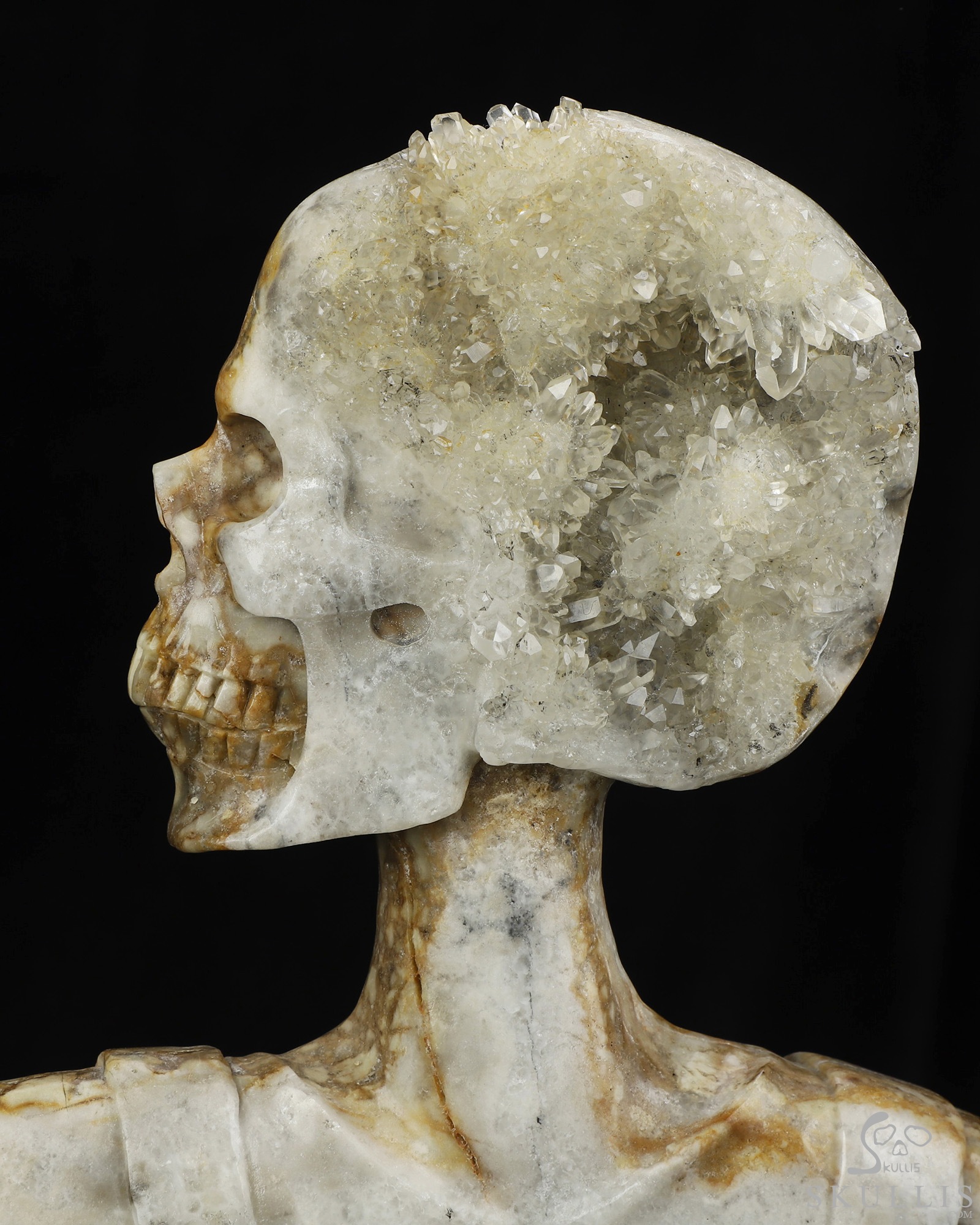 July 8, 2026 ACSAD (A Crystal Skull a Day) - Metamorphosis of Thought - 8.7" Quartz Rock Druse Carved Crystal Skull Fine Art Sculpture, Crystal Healing July 8, 2026 ACSAD (A Crystal Skull a Day) - Metamorphosis of Thought - 8.7" Quartz Rock Druse Carved Crystal Skull Fine Art Sculpture, Crystal Healing