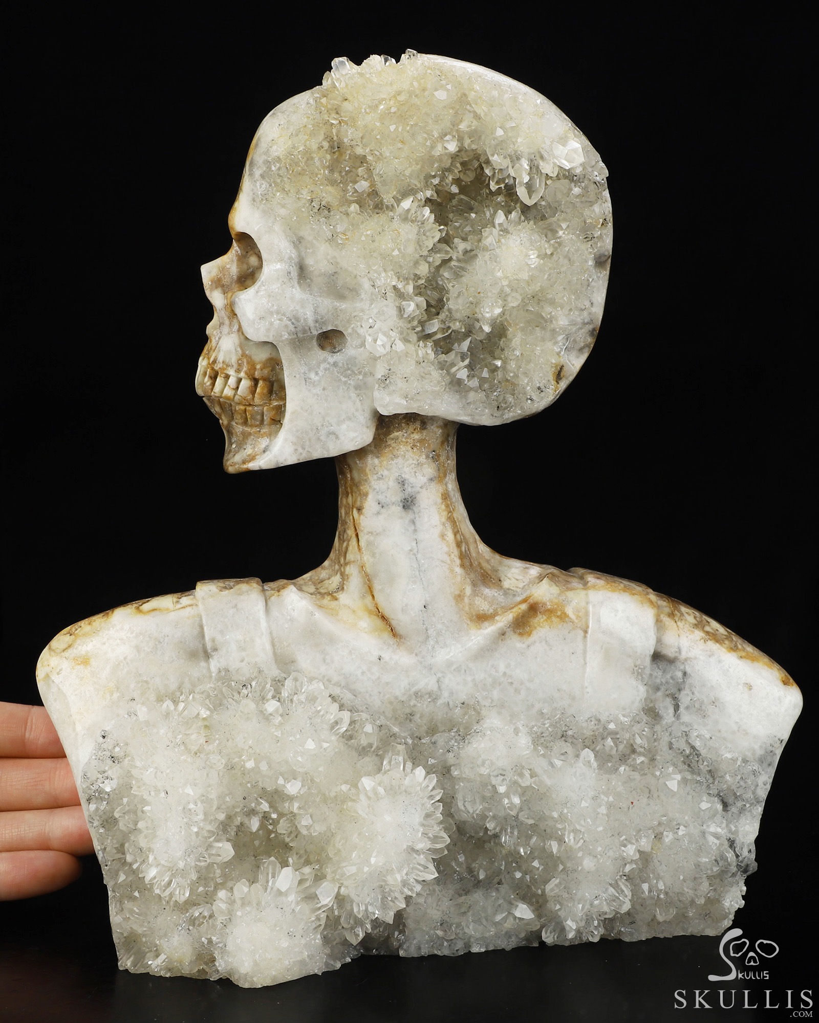 July 8, 2026 ACSAD (A Crystal Skull a Day) - Metamorphosis of Thought - 8.7" Quartz Rock Druse Carved Crystal Skull Fine Art Sculpture, Crystal Healing July 8, 2026 ACSAD (A Crystal Skull a Day) - Metamorphosis of Thought - 8.7" Quartz Rock Druse Carved Crystal Skull Fine Art Sculpture, Crystal Healing