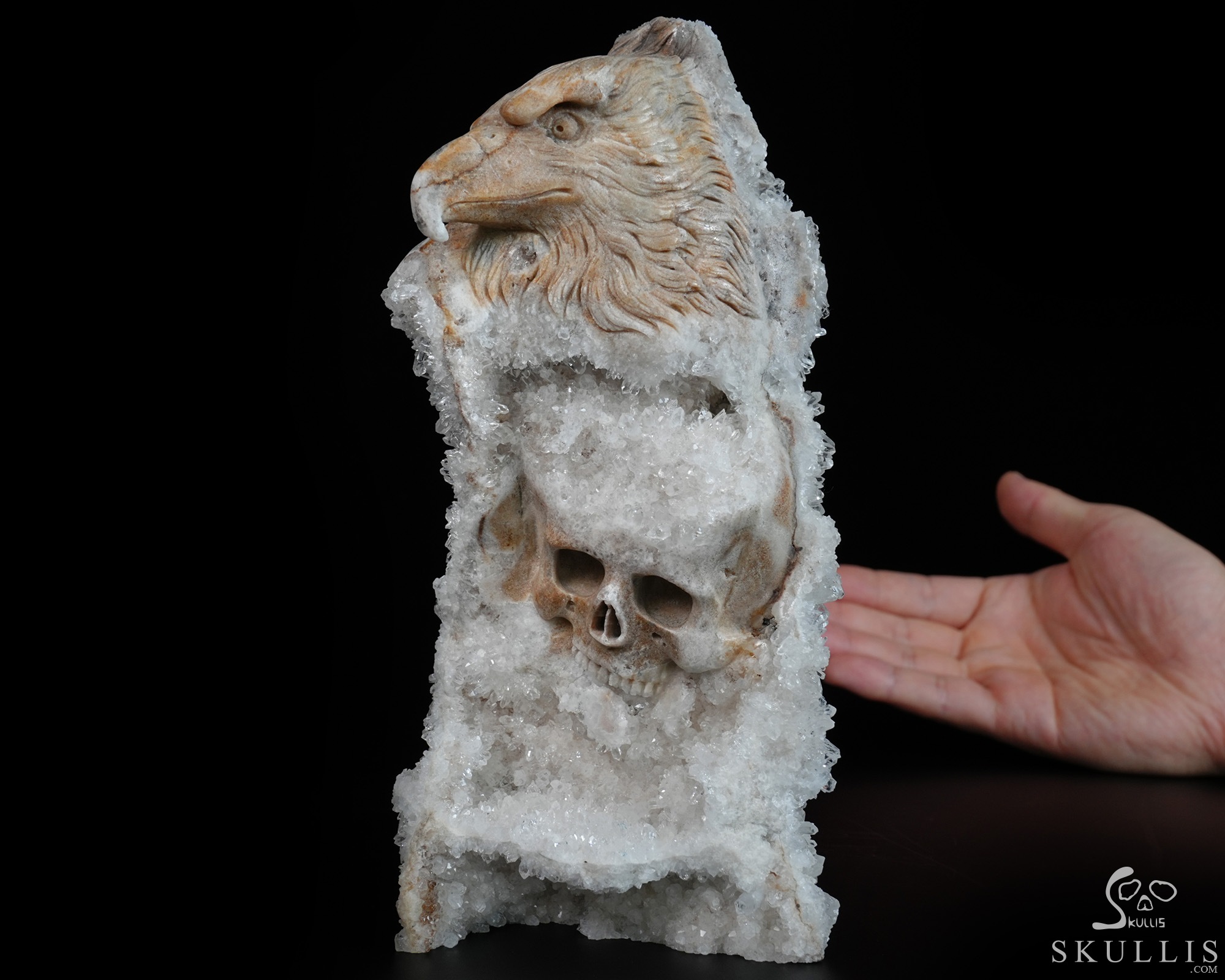 July 15, 2026 ACSAD (A Crystal Skull a Day) - Above All Things - 8.3" Carved Quartz Rock Druse Crystal Skull Fine Art Sculpture, Crystal Healing July 15, 2026 ACSAD (A Crystal Skull a Day) - Above All Things - 8.3" Carved Quartz Rock Druse Crystal Skull Fine Art Sculpture, Crystal Healing