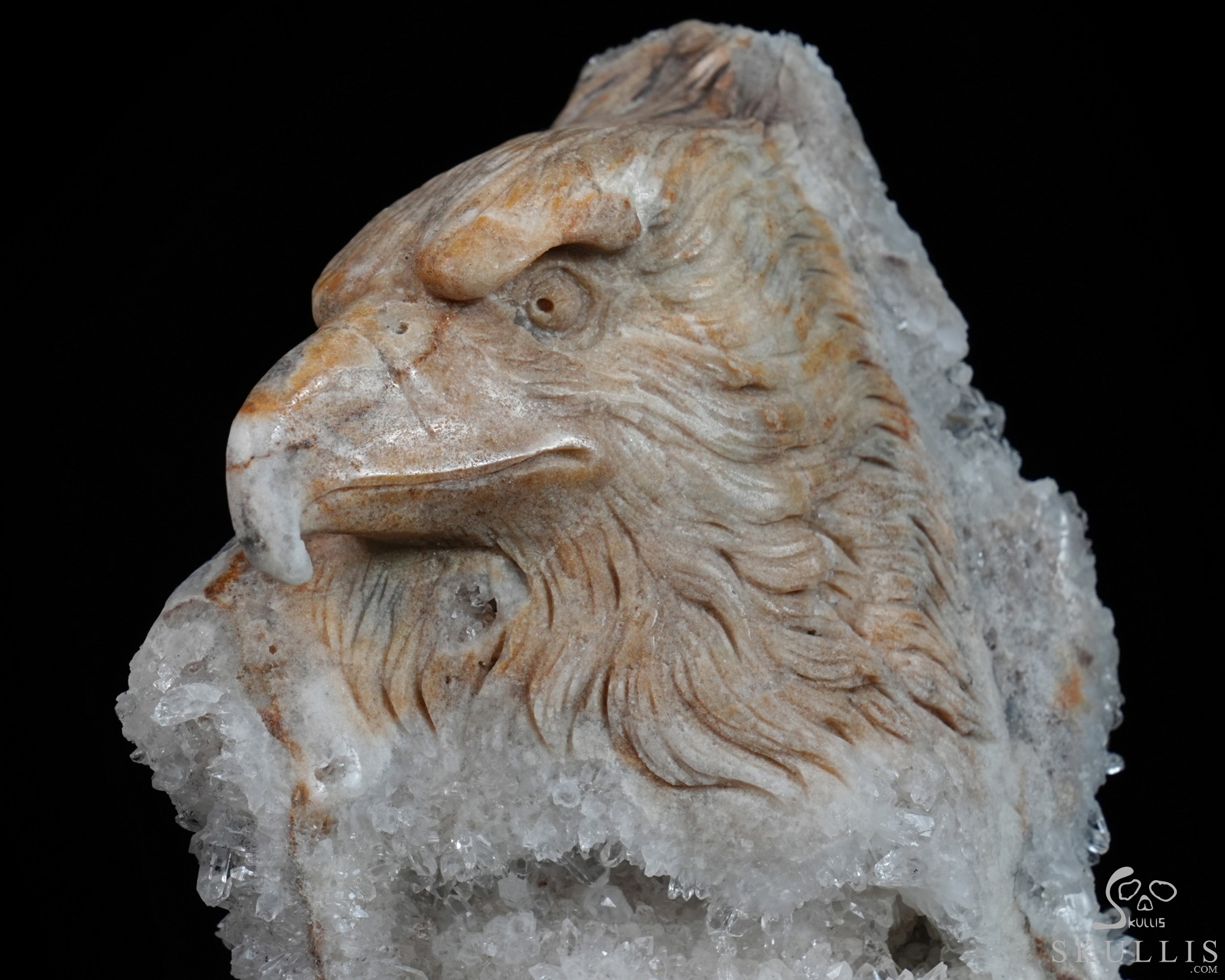 July 15, 2026 ACSAD (A Crystal Skull a Day) - Above All Things - 8.3" Carved Quartz Rock Druse Crystal Skull Fine Art Sculpture, Crystal Healing July 15, 2026 ACSAD (A Crystal Skull a Day) - Above All Things - 8.3" Carved Quartz Rock Druse Crystal Skull Fine Art Sculpture, Crystal Healing