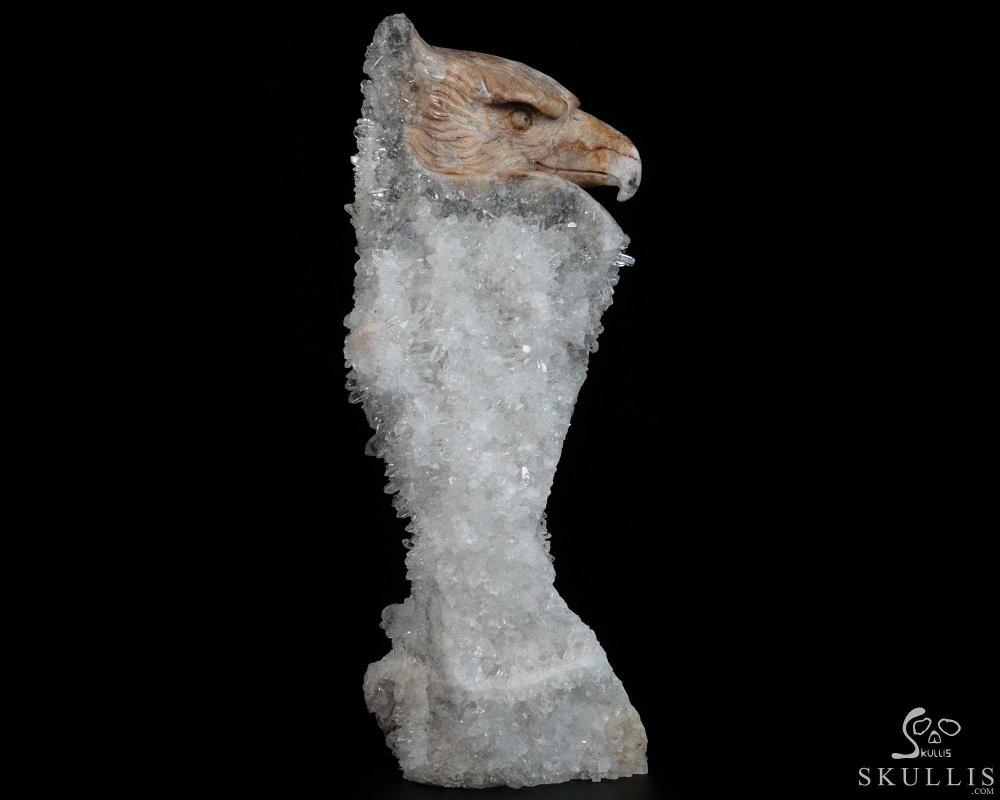 July 15, 2026 ACSAD (A Crystal Skull a Day) - Above All Things - 8.3" Carved Quartz Rock Druse Crystal Skull Fine Art Sculpture, Crystal Healing July 15, 2026 ACSAD (A Crystal Skull a Day) - Above All Things - 8.3" Carved Quartz Rock Druse Crystal Skull Fine Art Sculpture, Crystal Healing