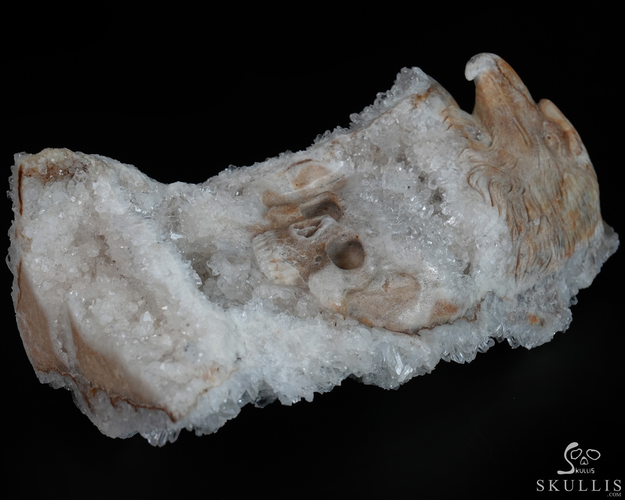 July 15, 2026 ACSAD (A Crystal Skull a Day) - Above All Things - 8.3" Carved Quartz Rock Druse Crystal Skull Fine Art Sculpture, Crystal Healing July 15, 2026 ACSAD (A Crystal Skull a Day) - Above All Things - 8.3" Carved Quartz Rock Druse Crystal Skull Fine Art Sculpture, Crystal Healing