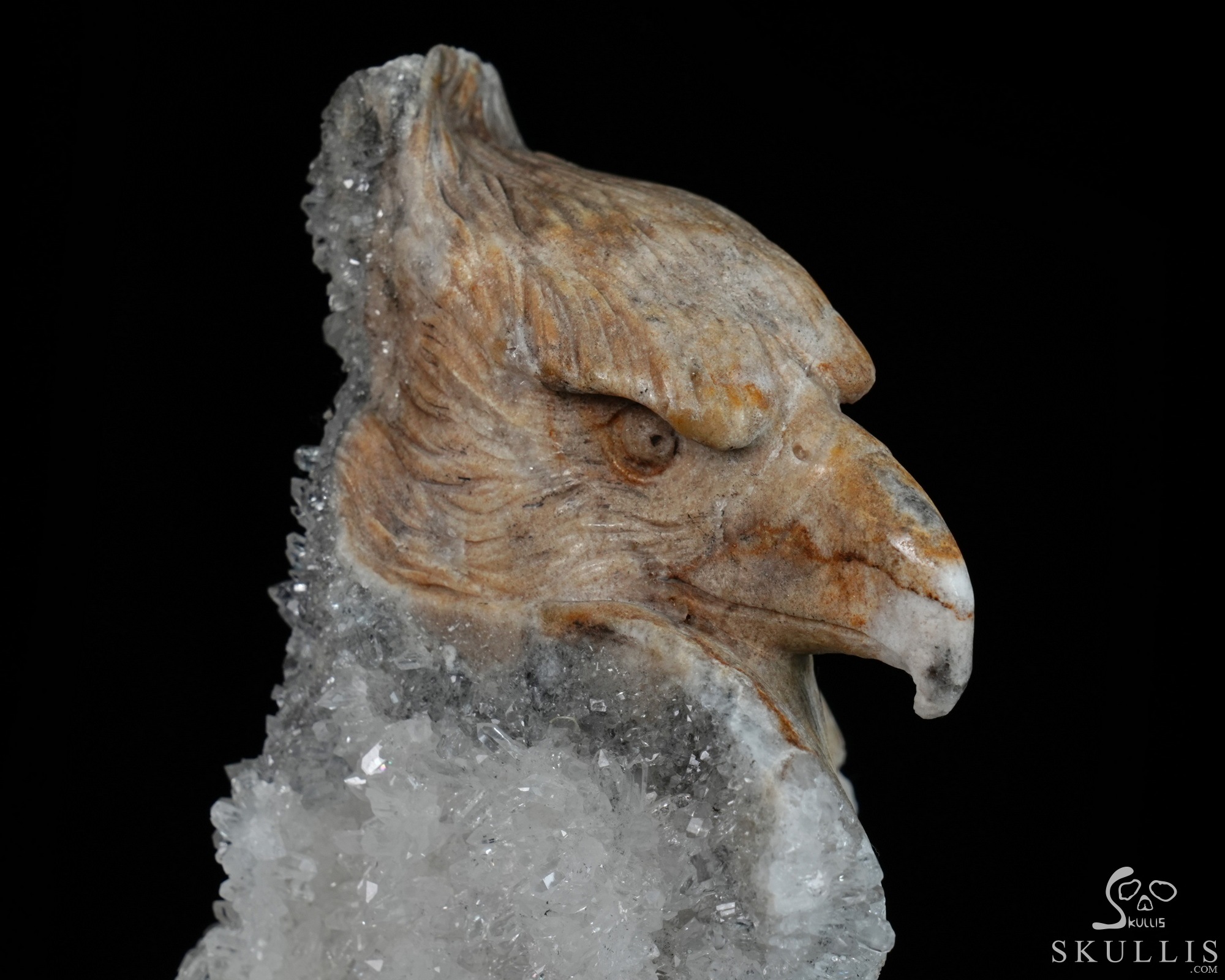 July 15, 2026 ACSAD (A Crystal Skull a Day) - Above All Things - 8.3" Carved Quartz Rock Druse Crystal Skull Fine Art Sculpture, Crystal Healing July 15, 2026 ACSAD (A Crystal Skull a Day) - Above All Things - 8.3" Carved Quartz Rock Druse Crystal Skull Fine Art Sculpture, Crystal Healing
