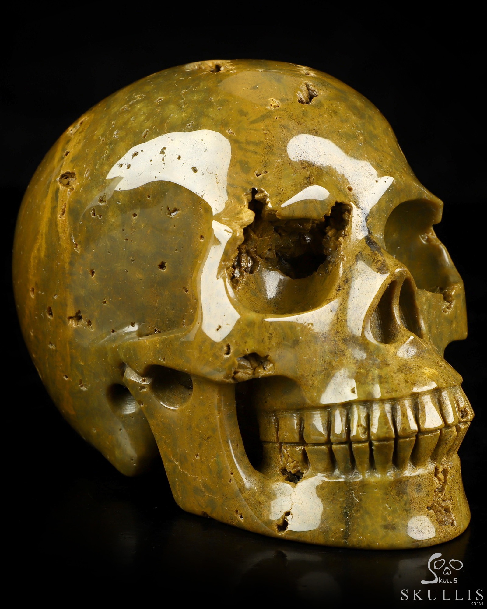 4.9" Ocean Jasper Hand Carved Crystal Skull, Realistic, Crystal Healing 4.9" Ocean Jasper Hand Carved Crystal Skull, Realistic, Crystal Healing