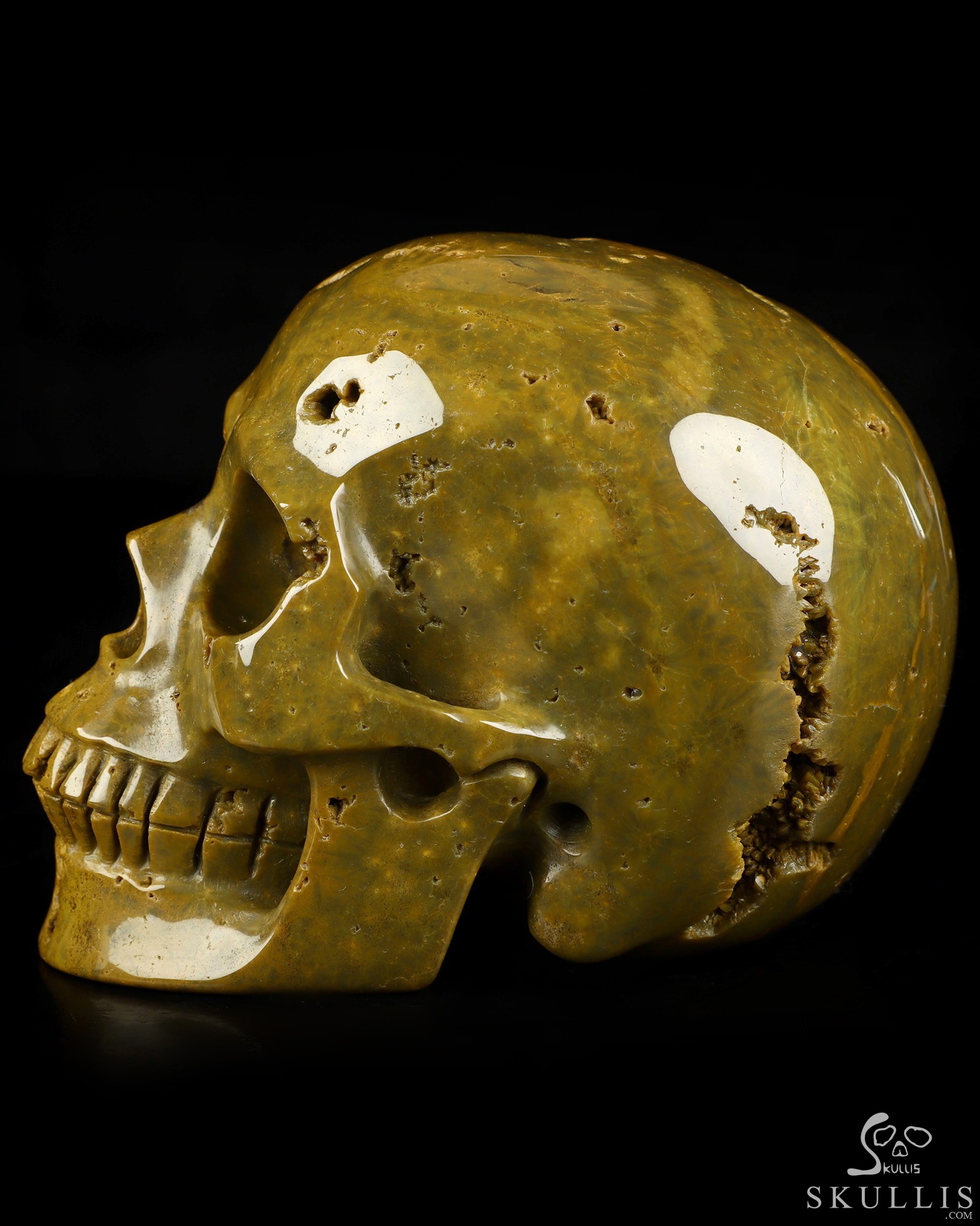 4.9" Ocean Jasper Hand Carved Crystal Skull, Realistic, Crystal Healing 4.9" Ocean Jasper Hand Carved Crystal Skull, Realistic, Crystal Healing