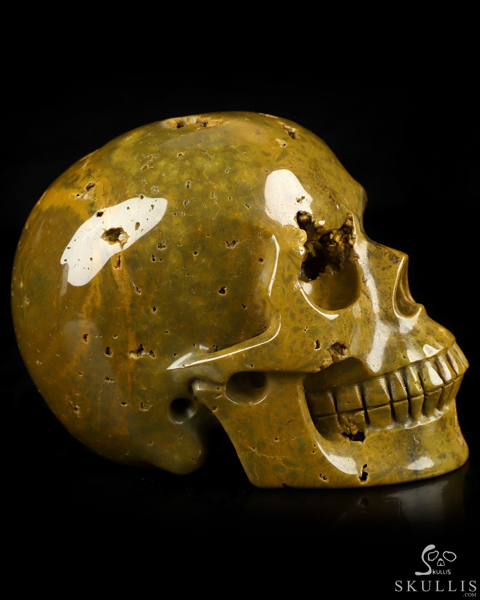 4.9" Ocean Jasper Hand Carved Crystal Skull, Realistic, Crystal Healing 4.9" Ocean Jasper Hand Carved Crystal Skull, Realistic, Crystal Healing