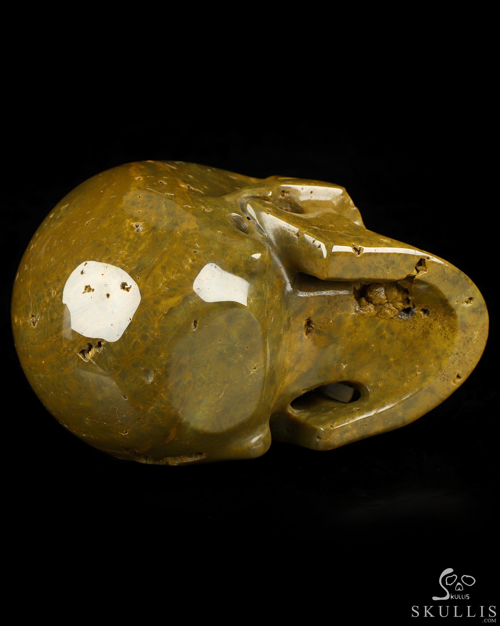 4.9" Ocean Jasper Hand Carved Crystal Skull, Realistic, Crystal Healing 4.9" Ocean Jasper Hand Carved Crystal Skull, Realistic, Crystal Healing