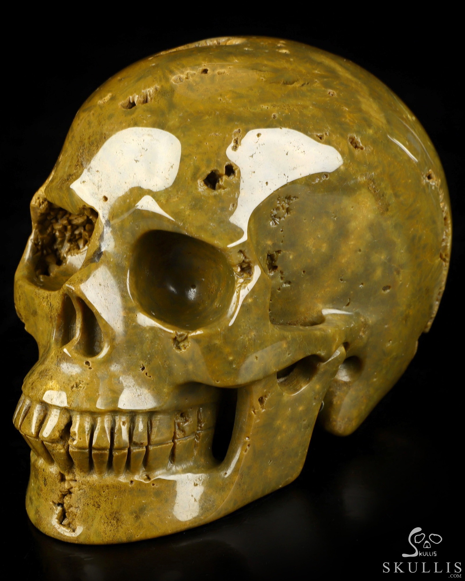 4.9" Ocean Jasper Hand Carved Crystal Skull, Realistic, Crystal Healing 4.9" Ocean Jasper Hand Carved Crystal Skull, Realistic, Crystal Healing