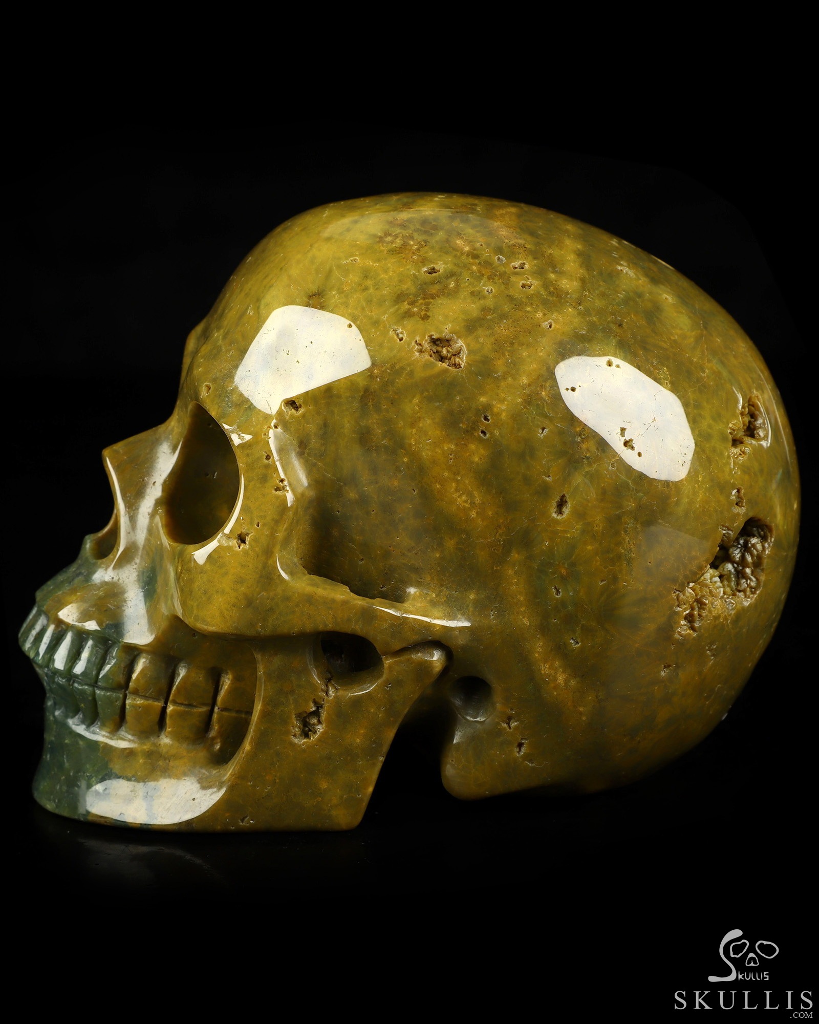 4.9" Ocean Jasper Hand Carved Crystal Skull, Realistic, Crystal Healing 4.9" Ocean Jasper Hand Carved Crystal Skull, Realistic, Crystal Healing