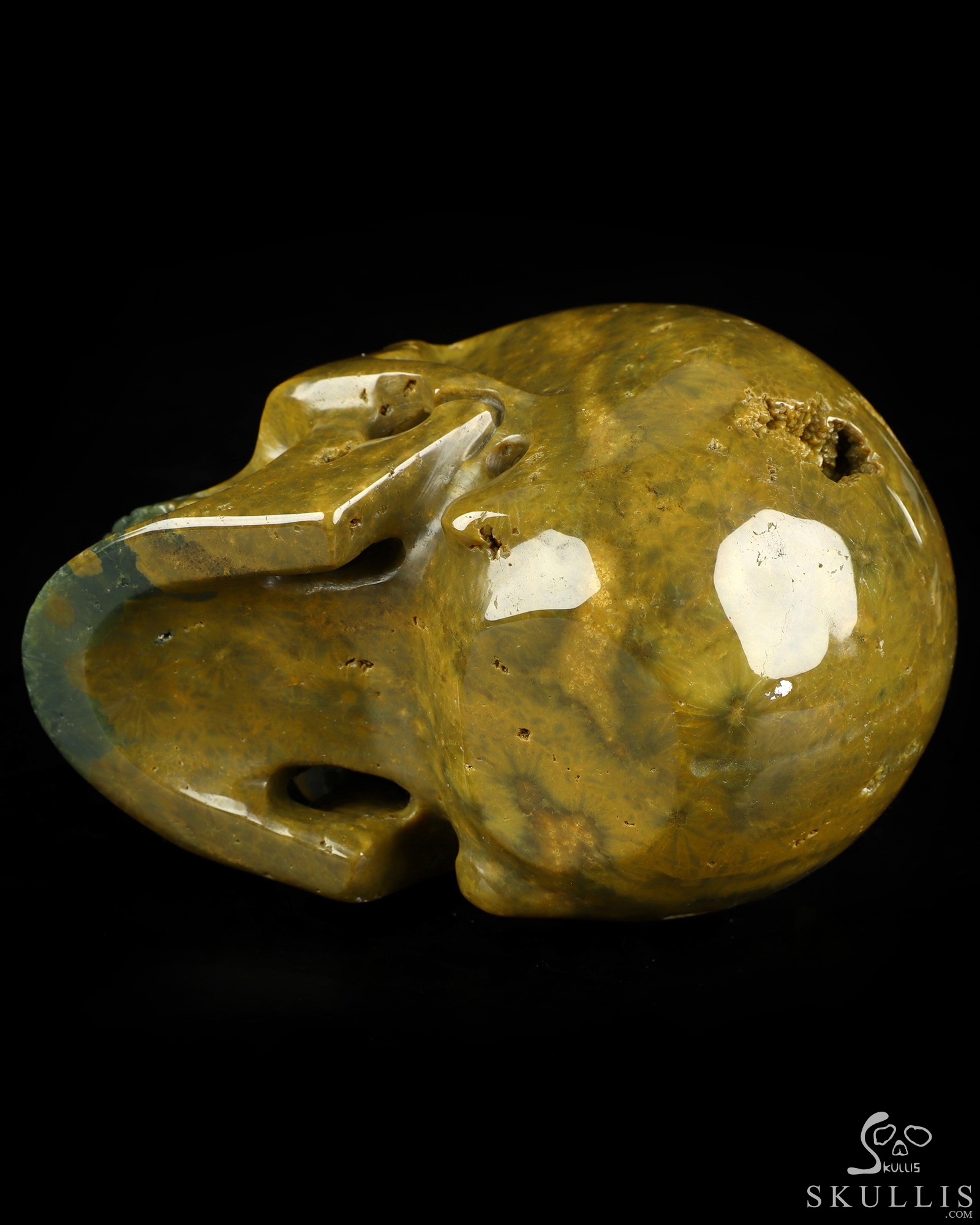 4.9" Ocean Jasper Hand Carved Crystal Skull, Realistic, Crystal Healing 4.9" Ocean Jasper Hand Carved Crystal Skull, Realistic, Crystal Healing