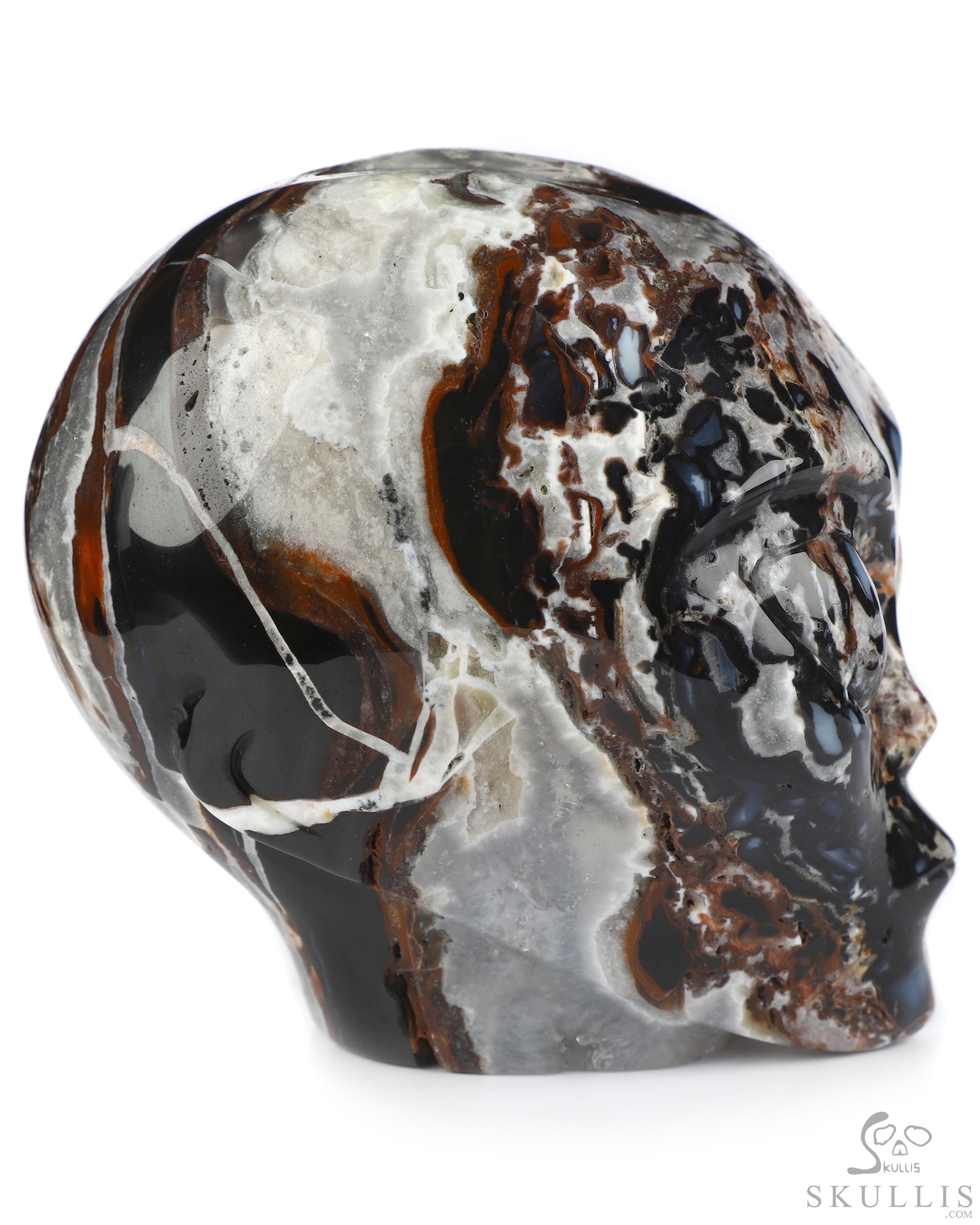 4.0" Black Zebra Agate Star Being Female Alien Crystal Skull Companion, Hand Carved Gemstone Fine Art Sculpture, Reiki Healing Stone Statue 4.0" Black Zebra Agate Star Being Female Alien Crystal Skull Companion, Hand Carved Gemstone Fine Art Sculpture, Reiki Healing Stone Statue
