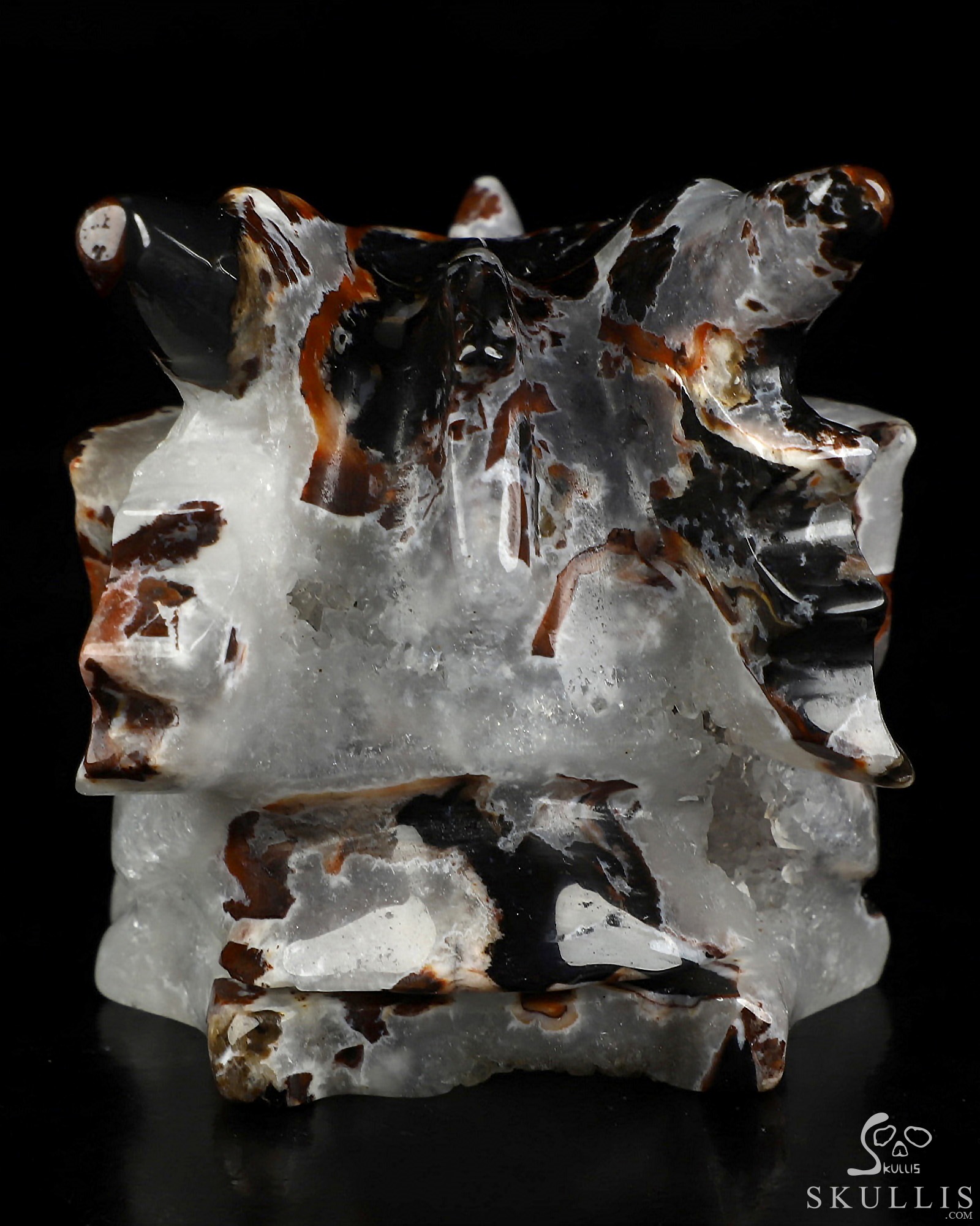 5.0" Black Zebra Agate Hand Carved Crystal Dragon Skull Sculpture, Crystal Healing 5.0" Black Zebra Agate Hand Carved Crystal Dragon Skull Sculpture, Crystal Healing