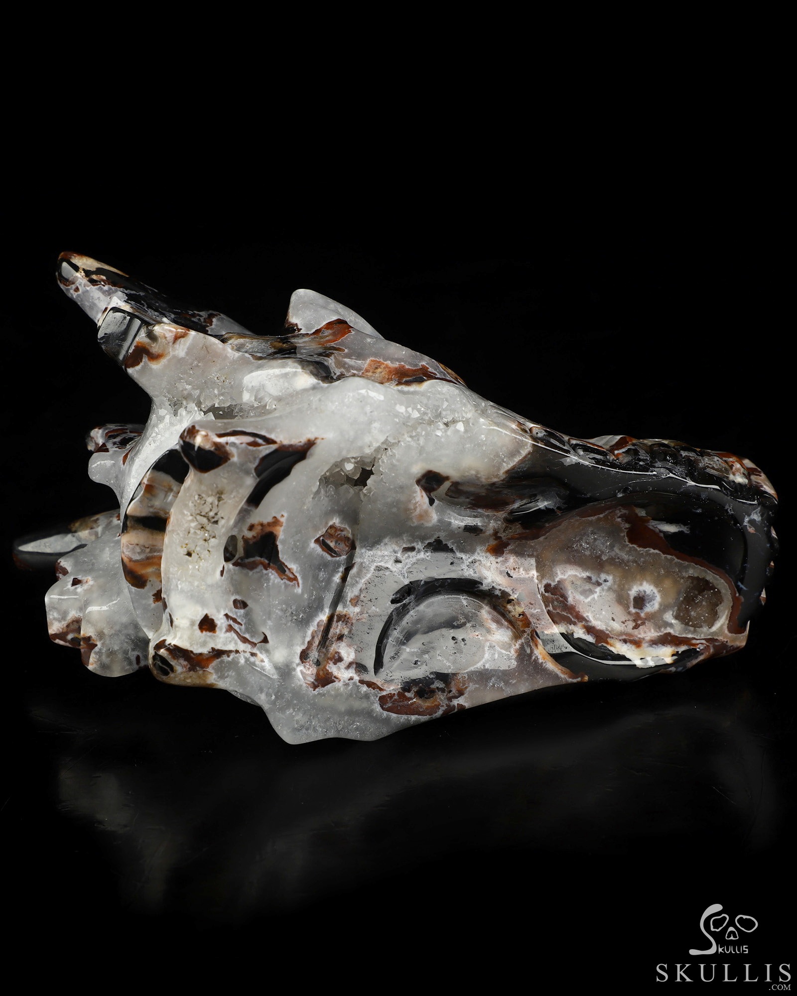 5.0" Black Zebra Agate Hand Carved Crystal Dragon Skull Sculpture, Crystal Healing 5.0" Black Zebra Agate Hand Carved Crystal Dragon Skull Sculpture, Crystal Healing