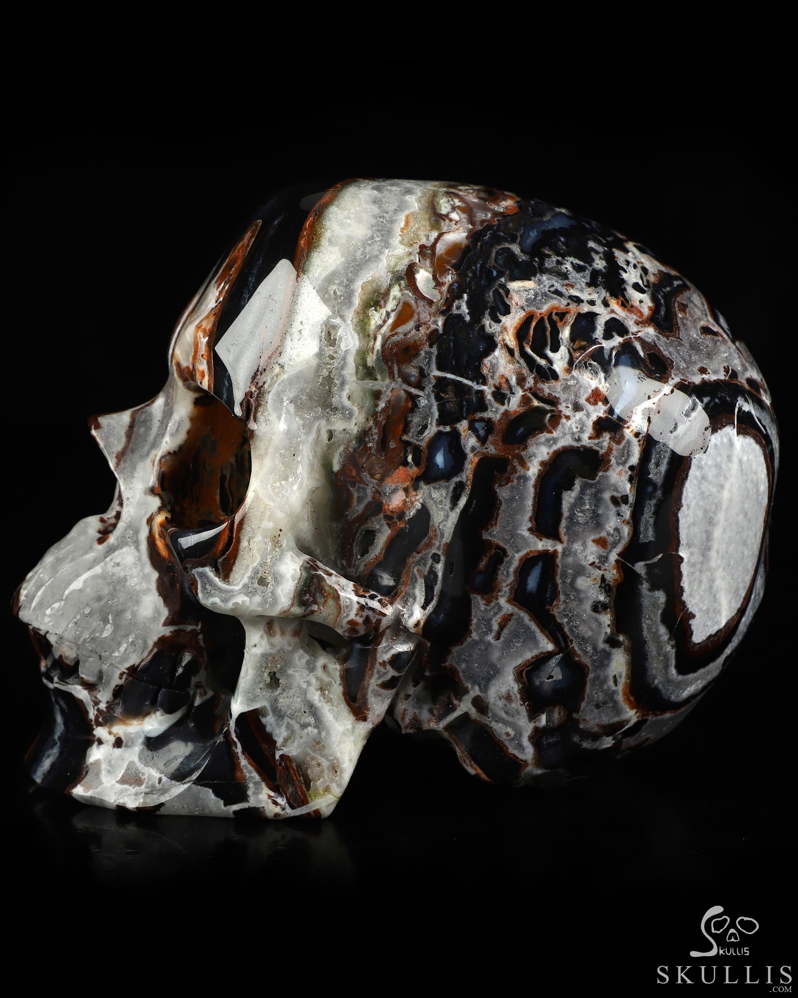 5.0" Black Zebra Agate Hand Carved Crystal Skull, Super Realistic, Crystal Healing 5.0" Black Zebra Agate Hand Carved Crystal Skull, Super Realistic, Crystal Healing