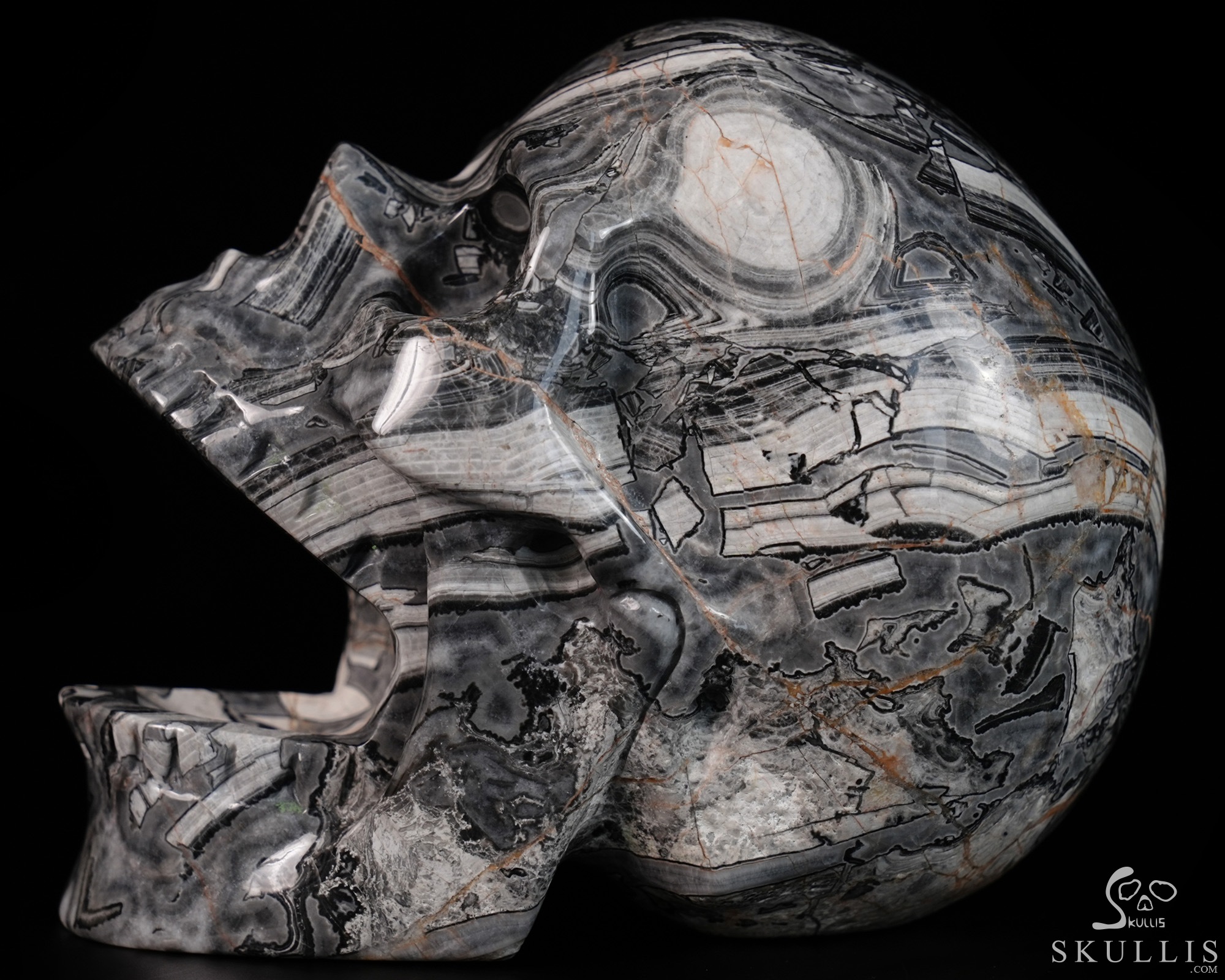 5.2" Crocodile Jasper Hand Carved Laughing Crystal Skull Sculpture, Crystal Healing 5.2" Crocodile Jasper Hand Carved Laughing Crystal Skull Sculpture, Crystal Healing