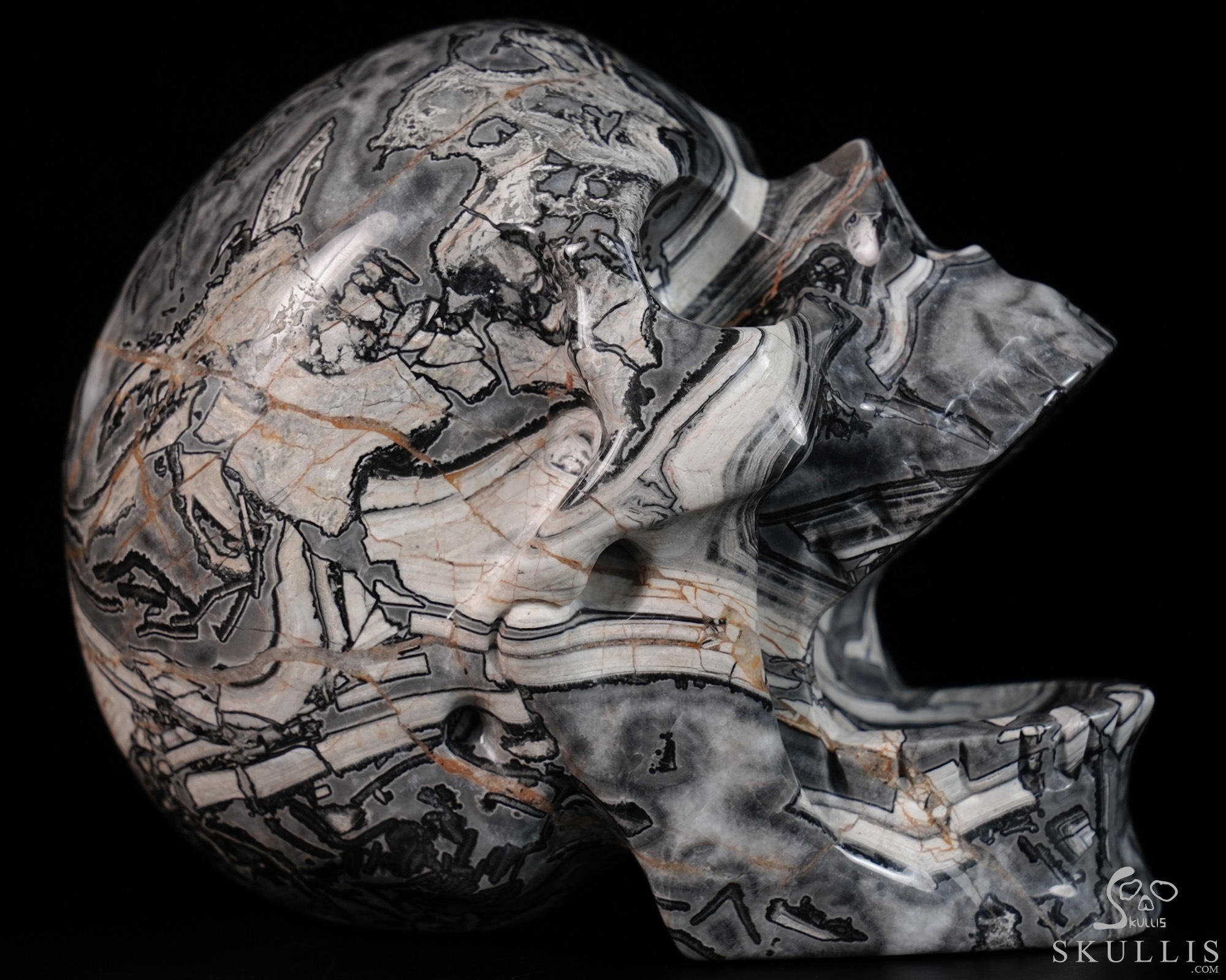 5.2" Crocodile Jasper Hand Carved Laughing Crystal Skull Sculpture, Crystal Healing 5.2" Crocodile Jasper Hand Carved Laughing Crystal Skull Sculpture, Crystal Healing