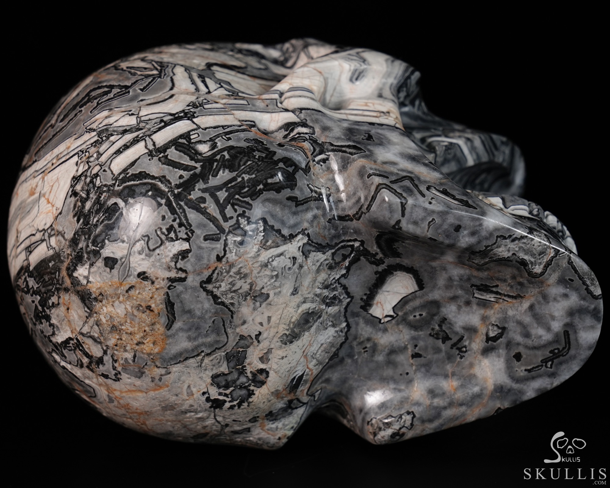 5.2" Crocodile Jasper Hand Carved Laughing Crystal Skull Sculpture, Crystal Healing 5.2" Crocodile Jasper Hand Carved Laughing Crystal Skull Sculpture, Crystal Healing