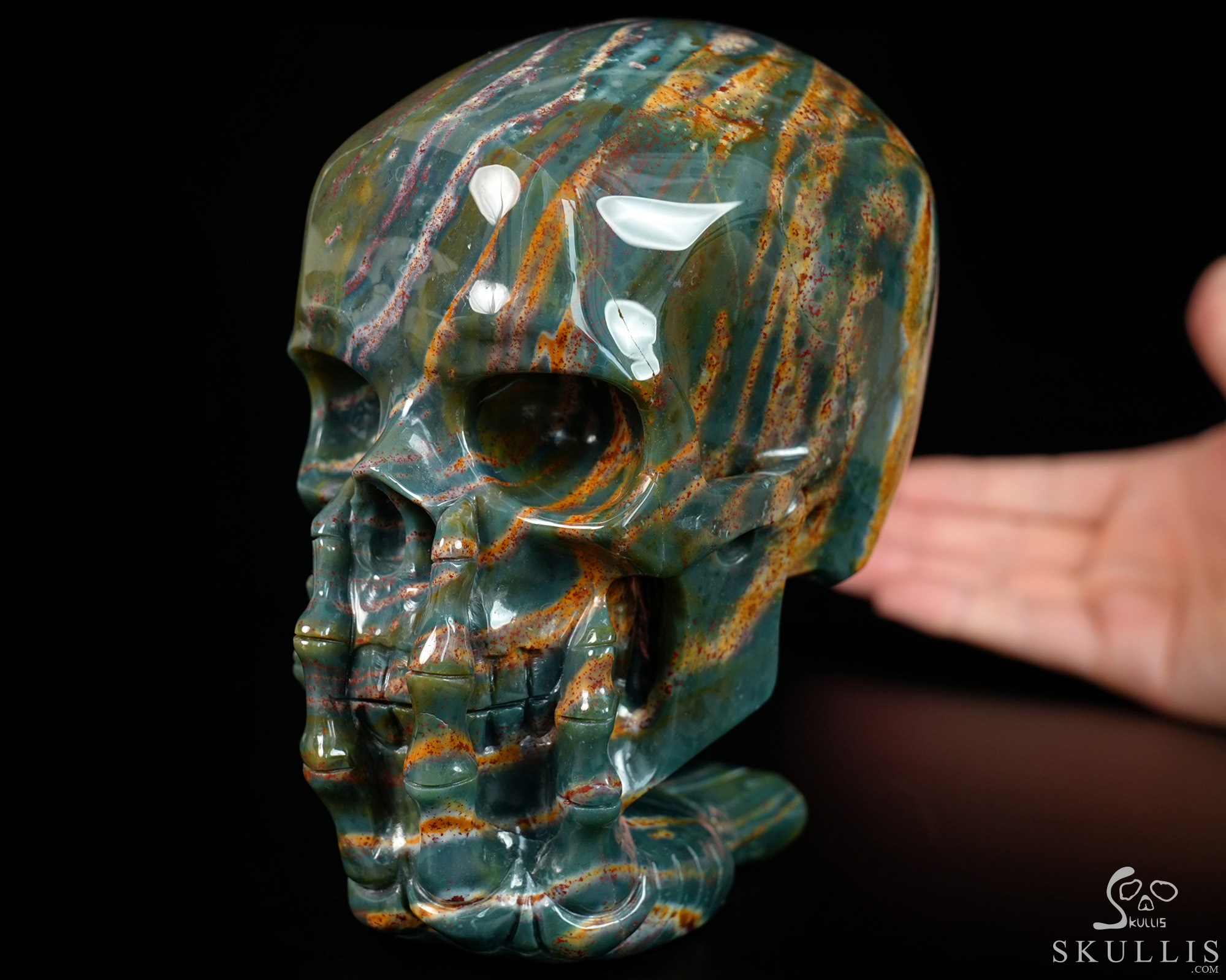 The Thinker---5.7" Bloodstone Hand Carved Crystal Skull & Skeletal Hand Sculpture, Crystal Healing The Thinker---5.7" Bloodstone Hand Carved Crystal Skull & Skeletal Hand Sculpture, Crystal Healing