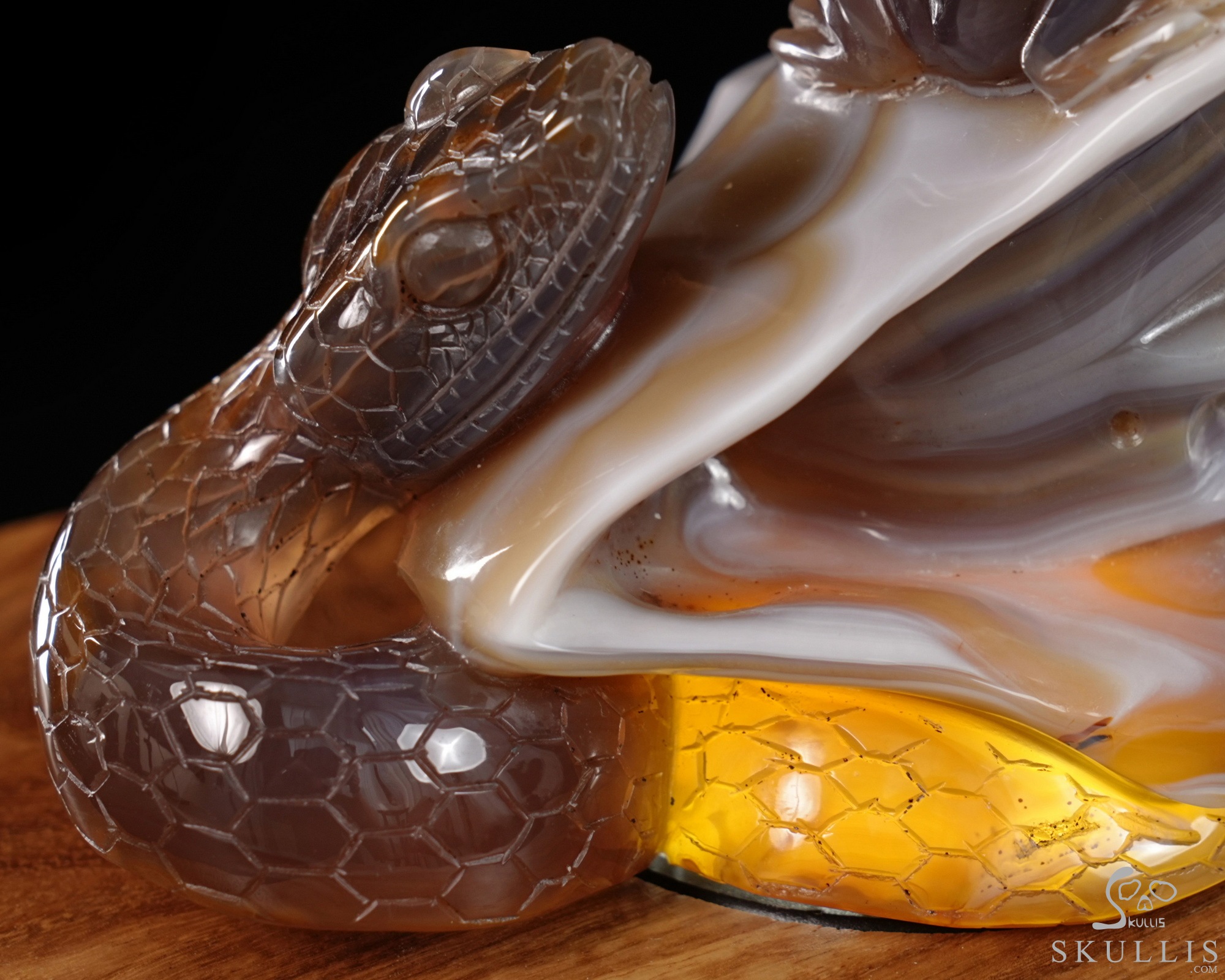 July 3, 2026 ACSAD (A Crystal Skull a Day) - Nature Never Mourns - 5.4" Carved Agate Snake And Toad Crystal Skull Fine Art Sculpture, Crystal Healing July 3, 2026 ACSAD (A Crystal Skull a Day) - Nature Never Mourns - 5.4" Carved Agate Snake And Toad Crystal Skull Fine Art Sculpture, Crystal Healing