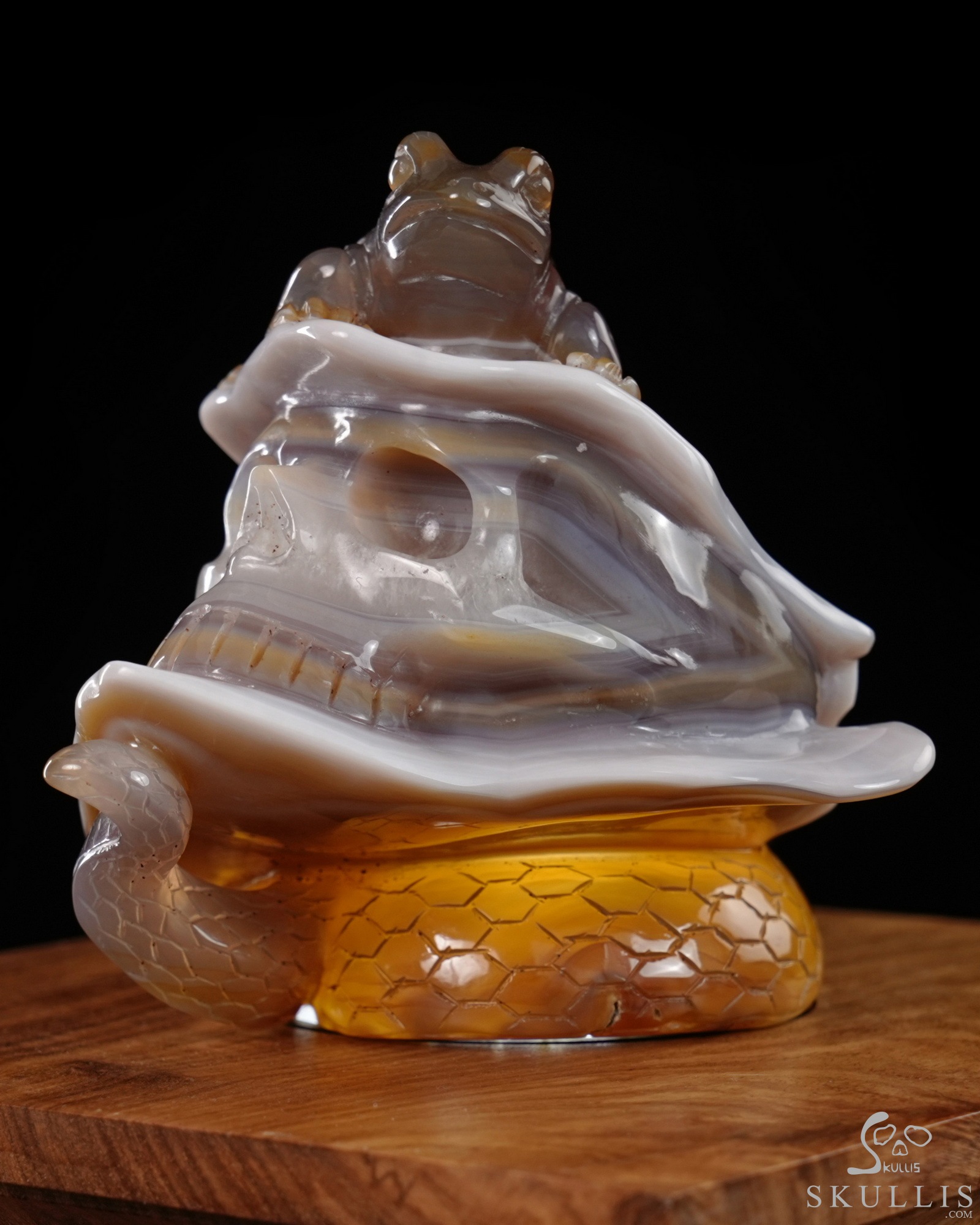 July 3, 2026 ACSAD (A Crystal Skull a Day) - Nature Never Mourns - 5.4" Carved Agate Snake And Toad Crystal Skull Fine Art Sculpture, Crystal Healing July 3, 2026 ACSAD (A Crystal Skull a Day) - Nature Never Mourns - 5.4" Carved Agate Snake And Toad Crystal Skull Fine Art Sculpture, Crystal Healing