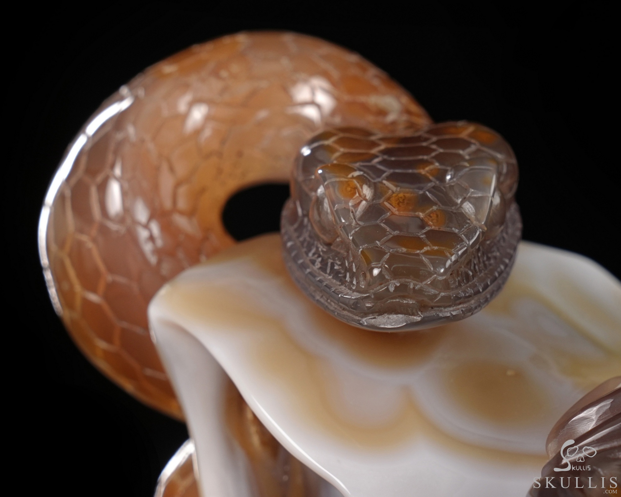 July 3, 2026 ACSAD (A Crystal Skull a Day) - Nature Never Mourns - 5.4" Carved Agate Snake And Toad Crystal Skull Fine Art Sculpture, Crystal Healing July 3, 2026 ACSAD (A Crystal Skull a Day) - Nature Never Mourns - 5.4" Carved Agate Snake And Toad Crystal Skull Fine Art Sculpture, Crystal Healing