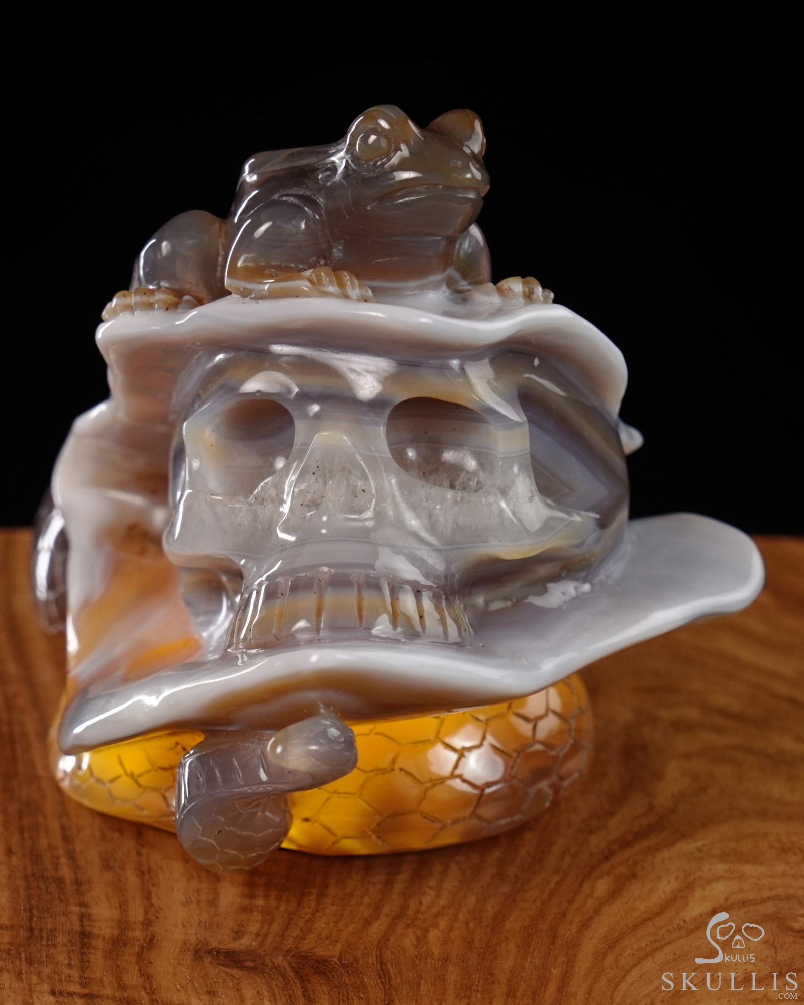 July 3, 2026 ACSAD (A Crystal Skull a Day) - Nature Never Mourns - 5.4" Carved Agate Snake And Toad Crystal Skull Fine Art Sculpture, Crystal Healing July 3, 2026 ACSAD (A Crystal Skull a Day) - Nature Never Mourns - 5.4" Carved Agate Snake And Toad Crystal Skull Fine Art Sculpture, Crystal Healing
