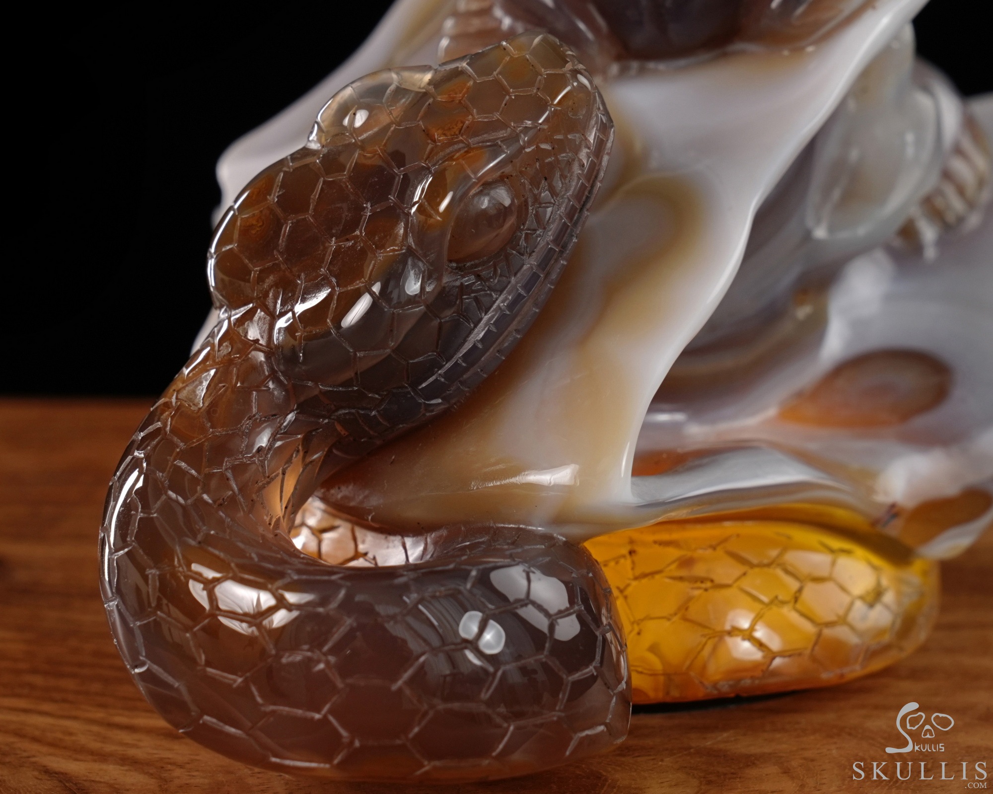 July 3, 2026 ACSAD (A Crystal Skull a Day) - Nature Never Mourns - 5.4" Carved Agate Snake And Toad Crystal Skull Fine Art Sculpture, Crystal Healing July 3, 2026 ACSAD (A Crystal Skull a Day) - Nature Never Mourns - 5.4" Carved Agate Snake And Toad Crystal Skull Fine Art Sculpture, Crystal Healing