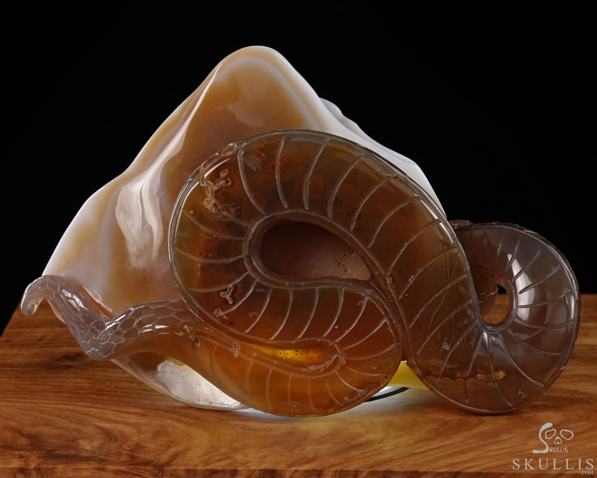 July 3, 2026 ACSAD (A Crystal Skull a Day) - Nature Never Mourns - 5.4" Carved Agate Snake And Toad Crystal Skull Fine Art Sculpture, Crystal Healing July 3, 2026 ACSAD (A Crystal Skull a Day) - Nature Never Mourns - 5.4" Carved Agate Snake And Toad Crystal Skull Fine Art Sculpture, Crystal Healing