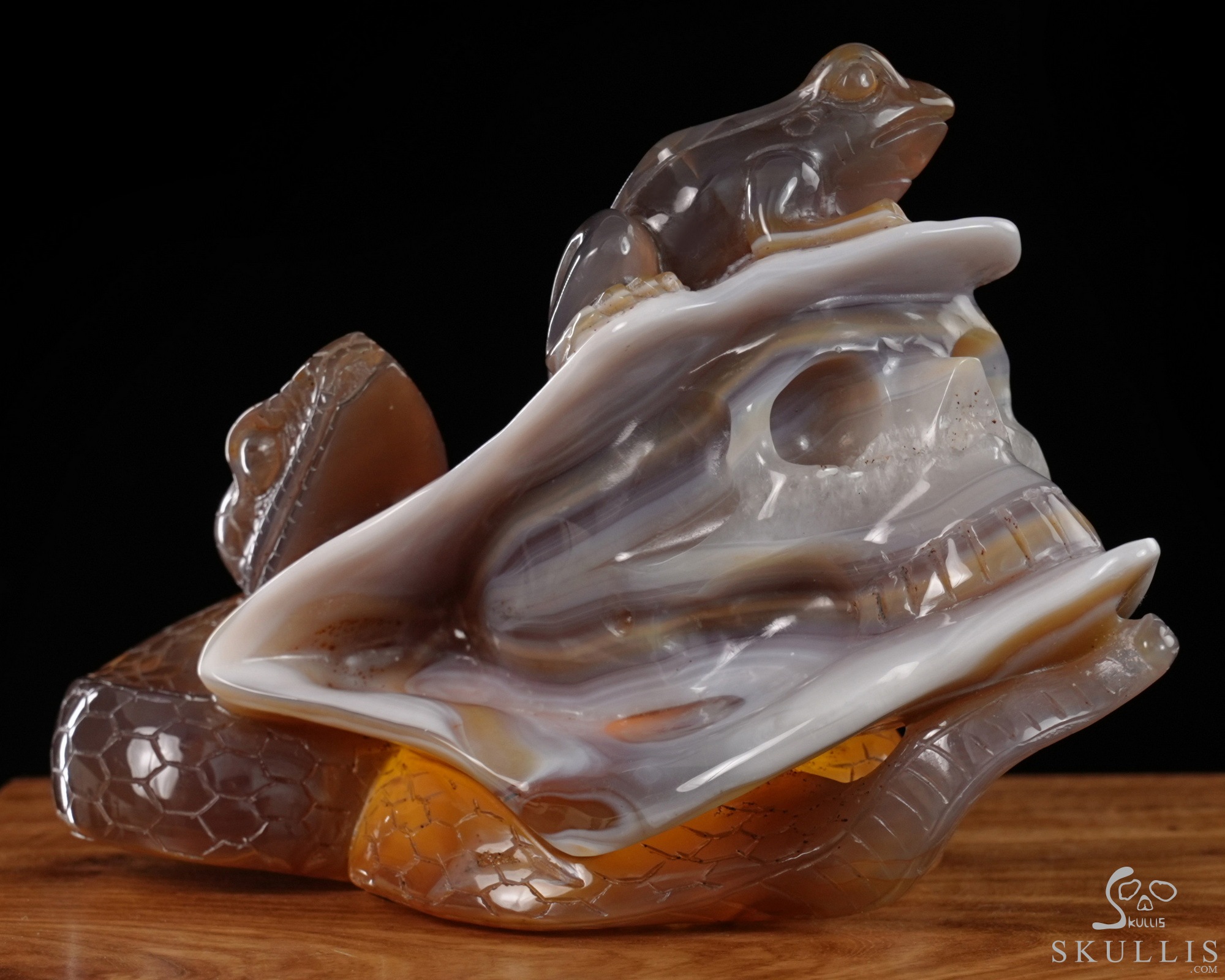 July 3, 2026 ACSAD (A Crystal Skull a Day) - Nature Never Mourns - 5.4" Carved Agate Snake And Toad Crystal Skull Fine Art Sculpture, Crystal Healing July 3, 2026 ACSAD (A Crystal Skull a Day) - Nature Never Mourns - 5.4" Carved Agate Snake And Toad Crystal Skull Fine Art Sculpture, Crystal Healing