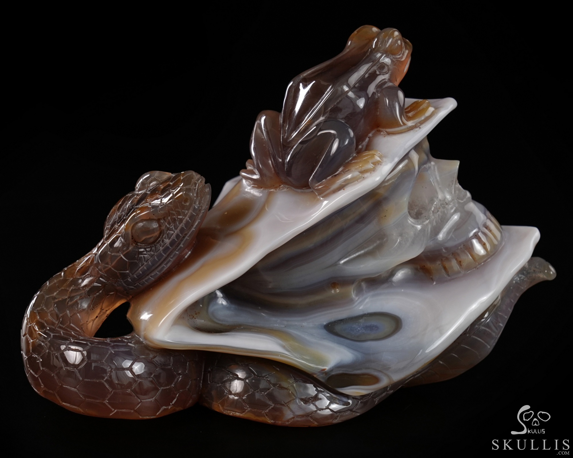 July 3, 2026 ACSAD (A Crystal Skull a Day) - Nature Never Mourns - 5.4" Carved Agate Snake And Toad Crystal Skull Fine Art Sculpture, Crystal Healing July 3, 2026 ACSAD (A Crystal Skull a Day) - Nature Never Mourns - 5.4" Carved Agate Snake And Toad Crystal Skull Fine Art Sculpture, Crystal Healing