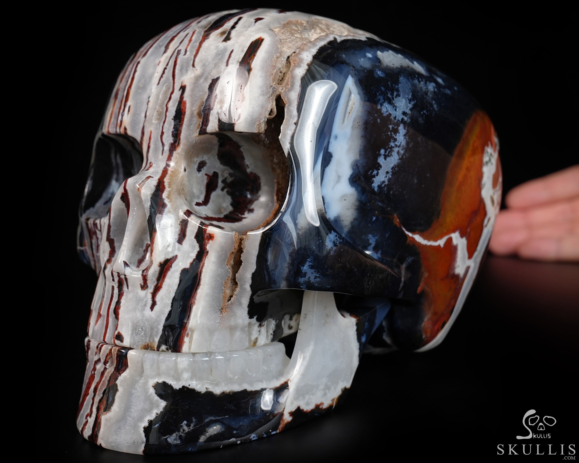 8.1" Black Zebra Agate Hand Carved Mitchell-Hedges Crystal Skull Replica, Crystal Healing 8.1" Black Zebra Agate Hand Carved Mitchell-Hedges Crystal Skull Replica, Crystal Healing