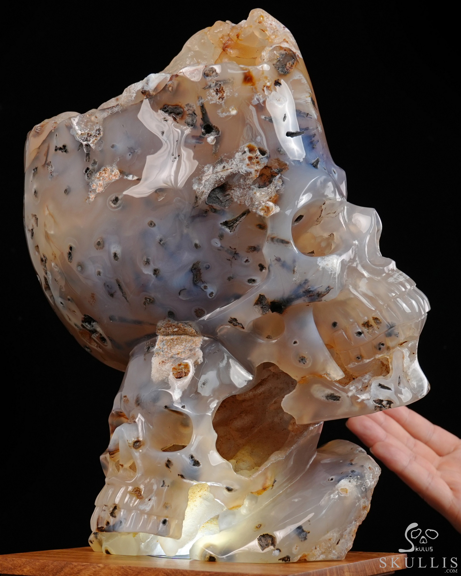 July 9, 2026 ACSAD (A Crystal Skull a Day) - Heaven Grows Here - 12.6" Agate Carved Double Crystal Skulls Fine Art Sculpture, Crystal Healing July 9, 2026 ACSAD (A Crystal Skull a Day) - Heaven Grows Here - 12.6" Agate Carved Double Crystal Skulls Fine Art Sculpture, Crystal Healing