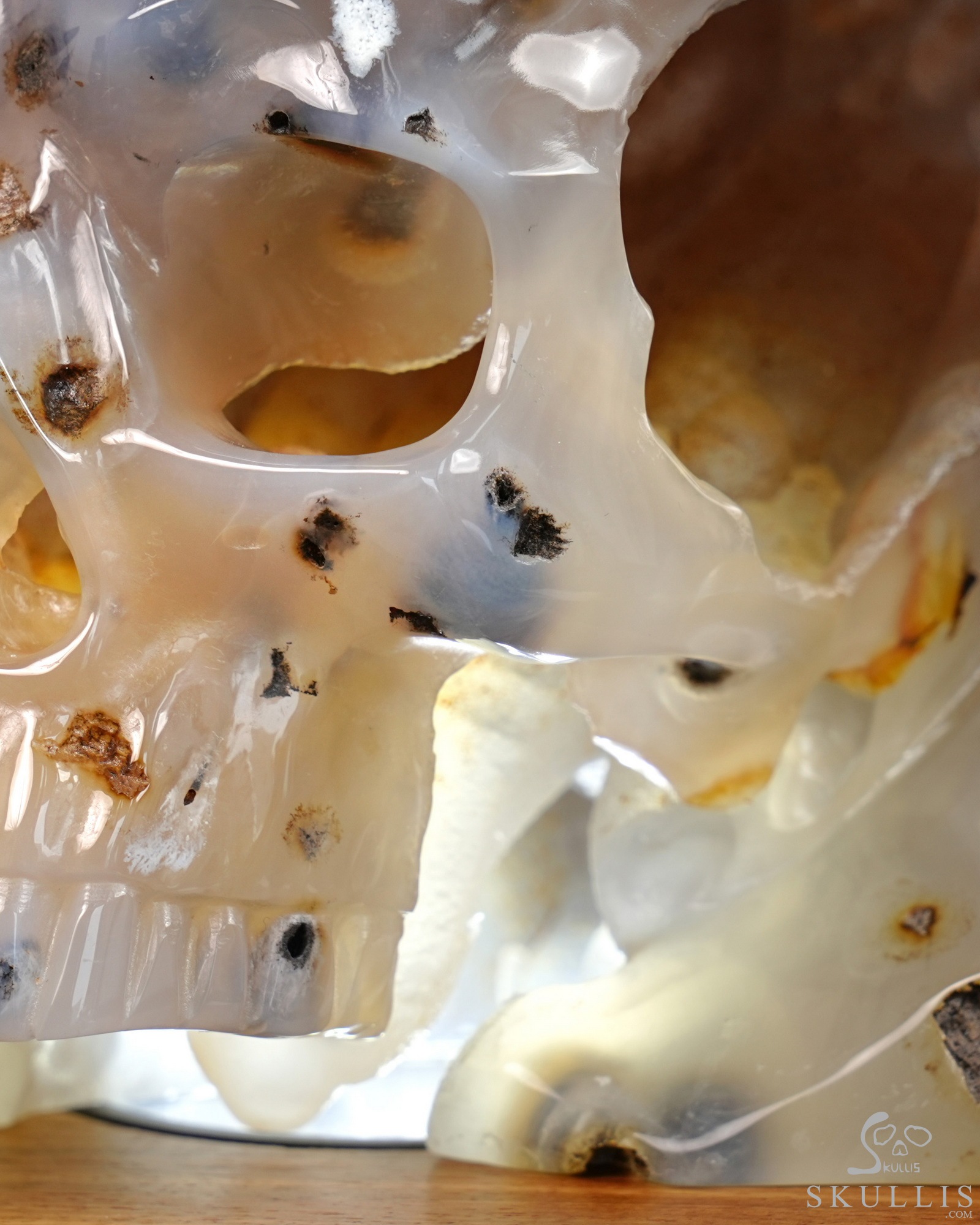 July 9, 2026 ACSAD (A Crystal Skull a Day) - Heaven Grows Here - 12.6" Agate Carved Double Crystal Skulls Fine Art Sculpture, Crystal Healing July 9, 2026 ACSAD (A Crystal Skull a Day) - Heaven Grows Here - 12.6" Agate Carved Double Crystal Skulls Fine Art Sculpture, Crystal Healing