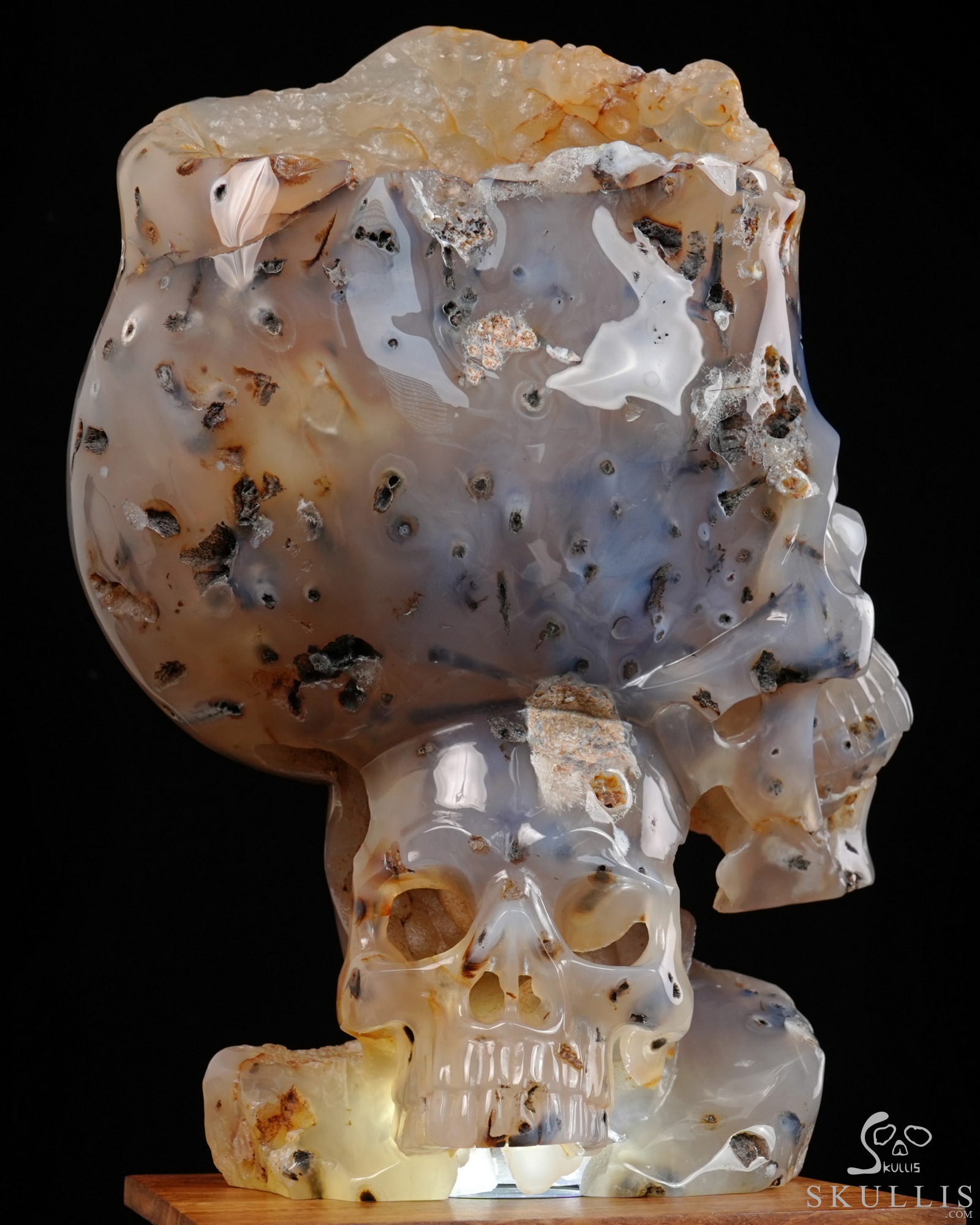 July 9, 2026 ACSAD (A Crystal Skull a Day) - Heaven Grows Here - 12.6" Agate Carved Double Crystal Skulls Fine Art Sculpture, Crystal Healing July 9, 2026 ACSAD (A Crystal Skull a Day) - Heaven Grows Here - 12.6" Agate Carved Double Crystal Skulls Fine Art Sculpture, Crystal Healing