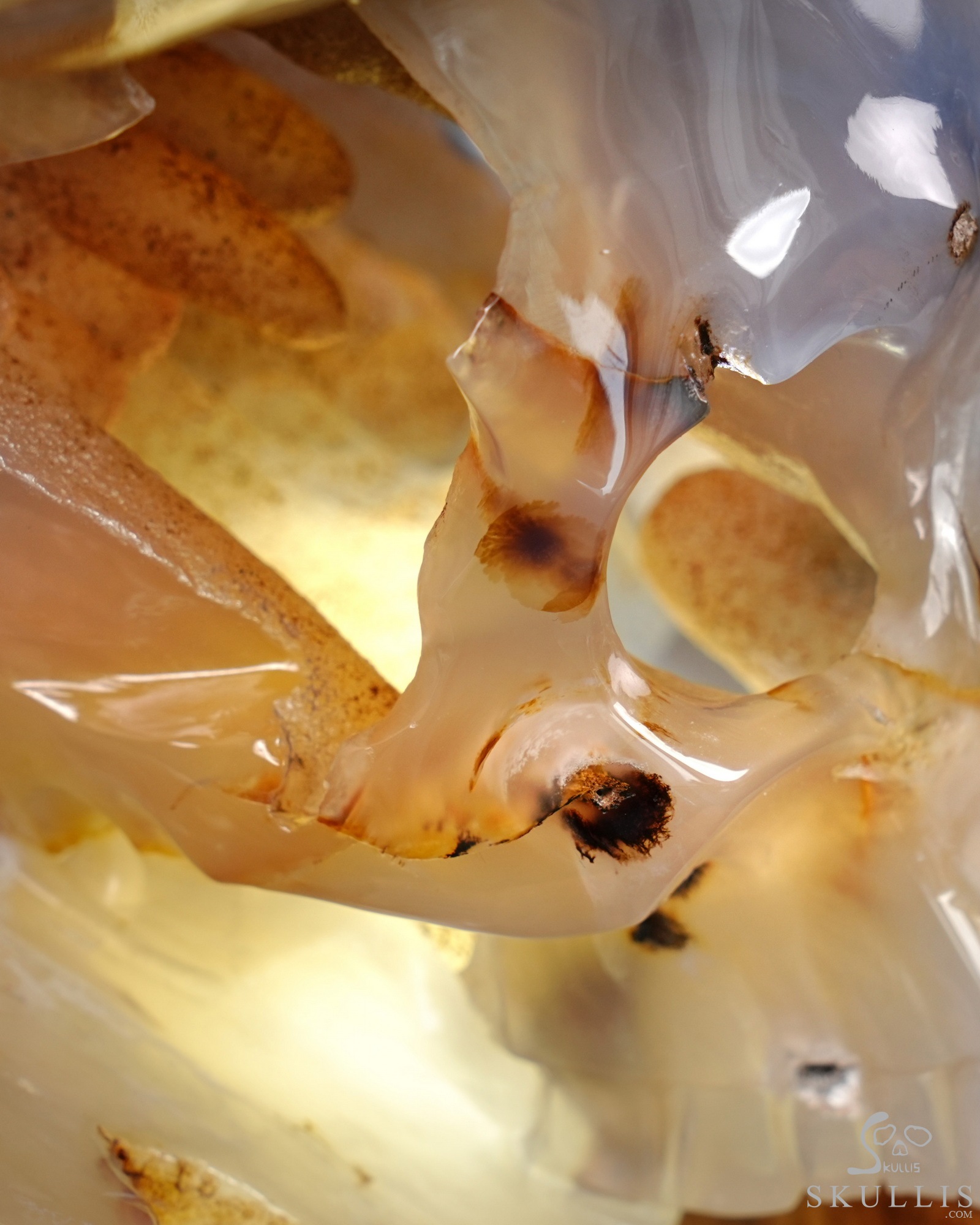 July 9, 2026 ACSAD (A Crystal Skull a Day) - Heaven Grows Here - 12.6" Agate Carved Double Crystal Skulls Fine Art Sculpture, Crystal Healing July 9, 2026 ACSAD (A Crystal Skull a Day) - Heaven Grows Here - 12.6" Agate Carved Double Crystal Skulls Fine Art Sculpture, Crystal Healing
