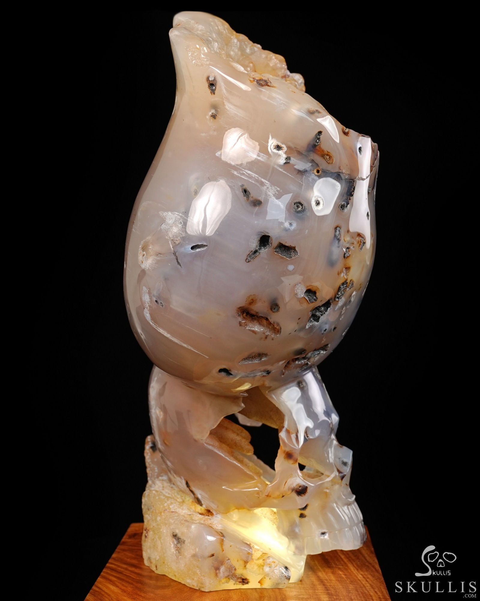 July 9, 2026 ACSAD (A Crystal Skull a Day) - Heaven Grows Here - 12.6" Agate Carved Double Crystal Skulls Fine Art Sculpture, Crystal Healing July 9, 2026 ACSAD (A Crystal Skull a Day) - Heaven Grows Here - 12.6" Agate Carved Double Crystal Skulls Fine Art Sculpture, Crystal Healing