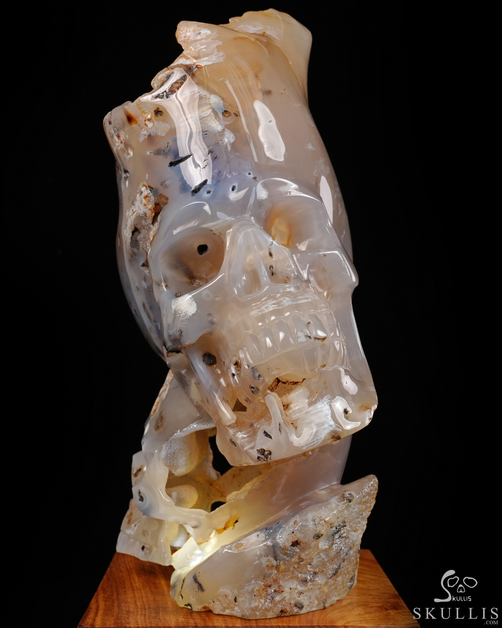 July 9, 2026 ACSAD (A Crystal Skull a Day) - Heaven Grows Here - 12.6" Agate Carved Double Crystal Skulls Fine Art Sculpture, Crystal Healing July 9, 2026 ACSAD (A Crystal Skull a Day) - Heaven Grows Here - 12.6" Agate Carved Double Crystal Skulls Fine Art Sculpture, Crystal Healing
