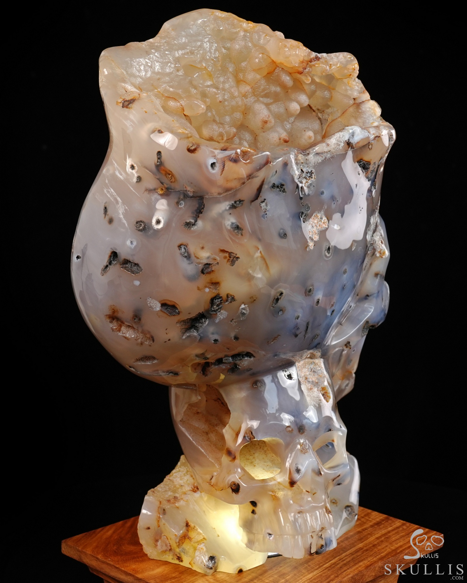 July 9, 2026 ACSAD (A Crystal Skull a Day) - Heaven Grows Here - 12.6" Agate Carved Double Crystal Skulls Fine Art Sculpture, Crystal Healing July 9, 2026 ACSAD (A Crystal Skull a Day) - Heaven Grows Here - 12.6" Agate Carved Double Crystal Skulls Fine Art Sculpture, Crystal Healing
