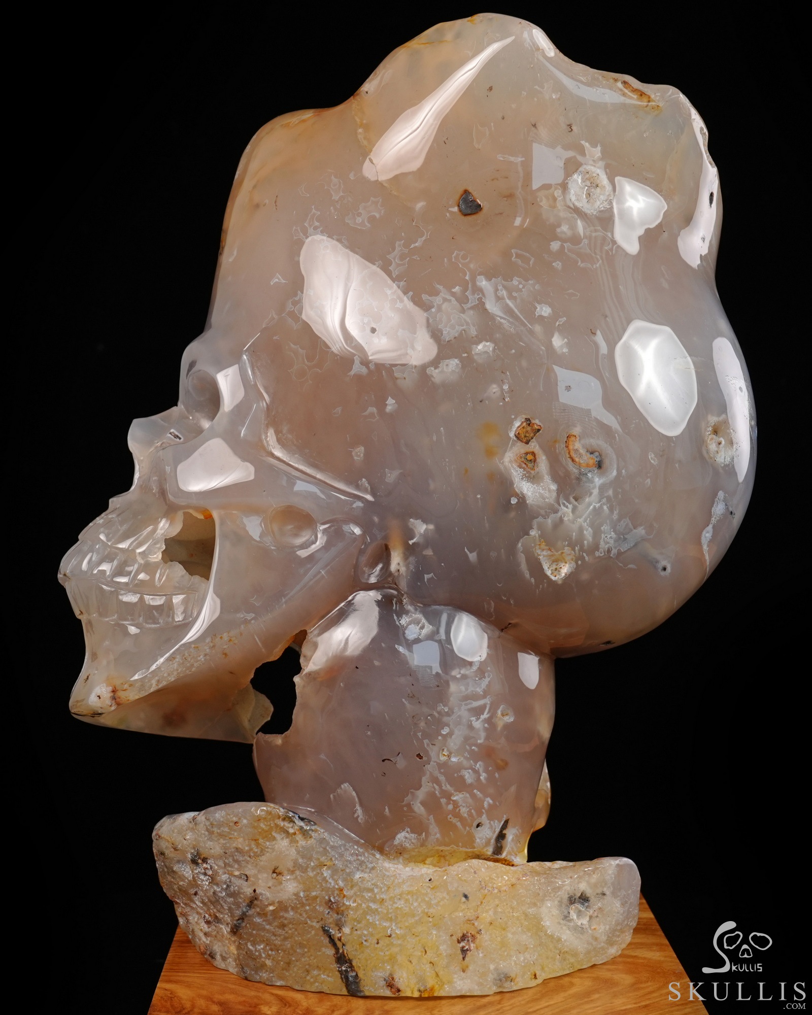 July 9, 2026 ACSAD (A Crystal Skull a Day) - Heaven Grows Here - 12.6" Agate Carved Double Crystal Skulls Fine Art Sculpture, Crystal Healing July 9, 2026 ACSAD (A Crystal Skull a Day) - Heaven Grows Here - 12.6" Agate Carved Double Crystal Skulls Fine Art Sculpture, Crystal Healing
