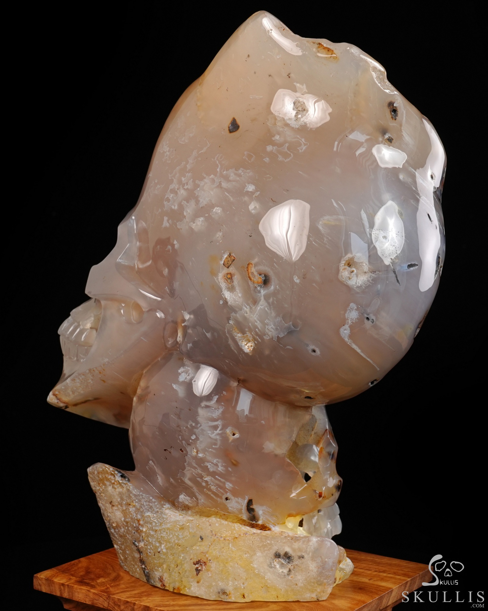 July 9, 2026 ACSAD (A Crystal Skull a Day) - Heaven Grows Here - 12.6" Agate Carved Double Crystal Skulls Fine Art Sculpture, Crystal Healing July 9, 2026 ACSAD (A Crystal Skull a Day) - Heaven Grows Here - 12.6" Agate Carved Double Crystal Skulls Fine Art Sculpture, Crystal Healing