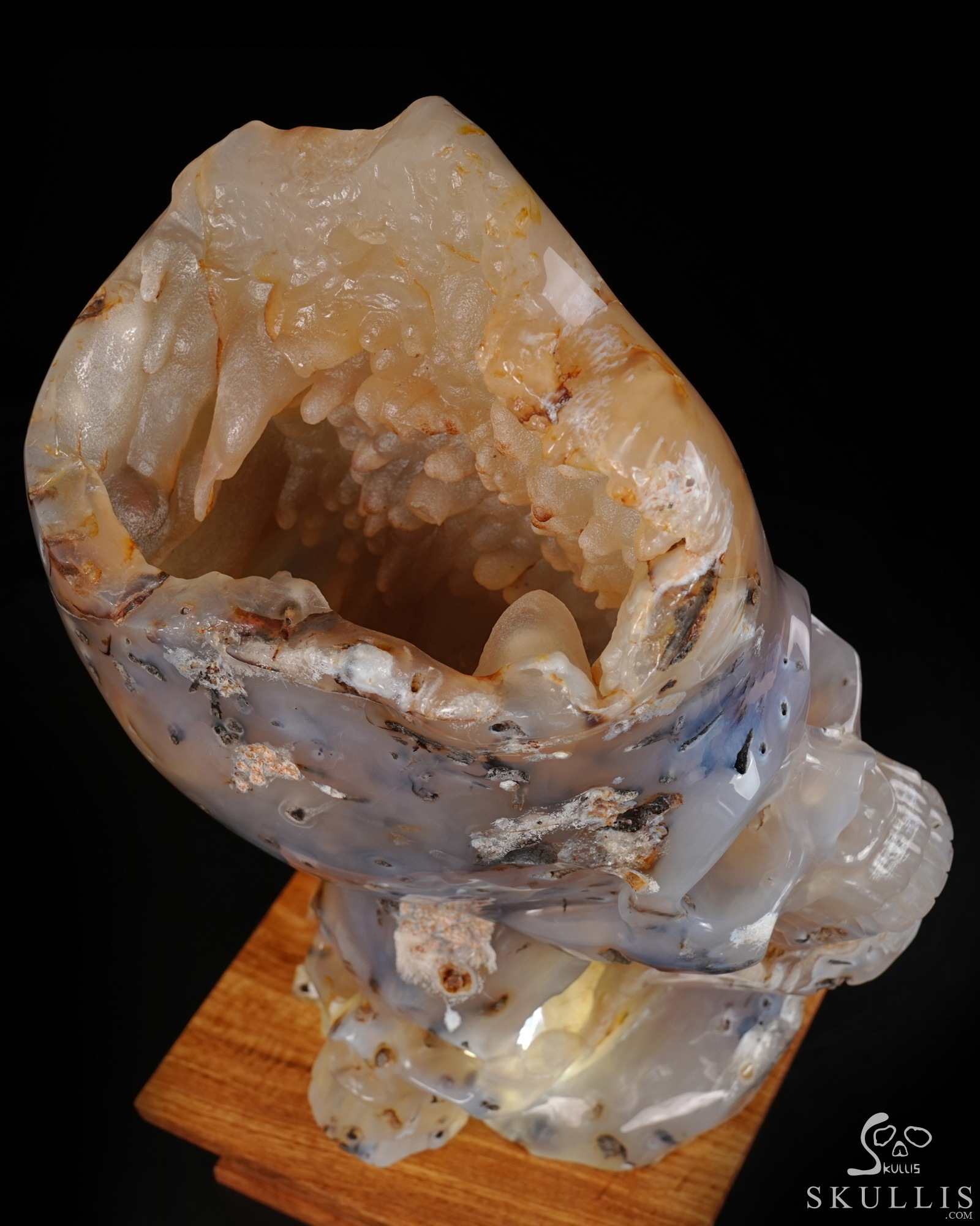 July 9, 2026 ACSAD (A Crystal Skull a Day) - Heaven Grows Here - 12.6" Agate Carved Double Crystal Skulls Fine Art Sculpture, Crystal Healing July 9, 2026 ACSAD (A Crystal Skull a Day) - Heaven Grows Here - 12.6" Agate Carved Double Crystal Skulls Fine Art Sculpture, Crystal Healing