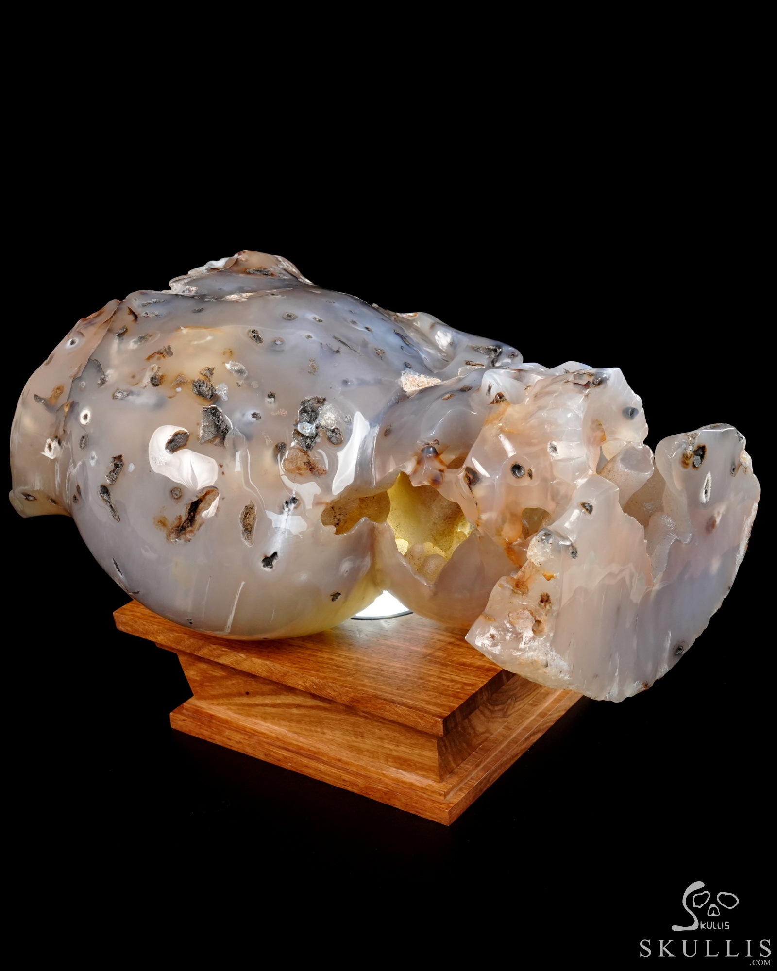 July 9, 2026 ACSAD (A Crystal Skull a Day) - Heaven Grows Here - 12.6" Agate Carved Double Crystal Skulls Fine Art Sculpture, Crystal Healing July 9, 2026 ACSAD (A Crystal Skull a Day) - Heaven Grows Here - 12.6" Agate Carved Double Crystal Skulls Fine Art Sculpture, Crystal Healing