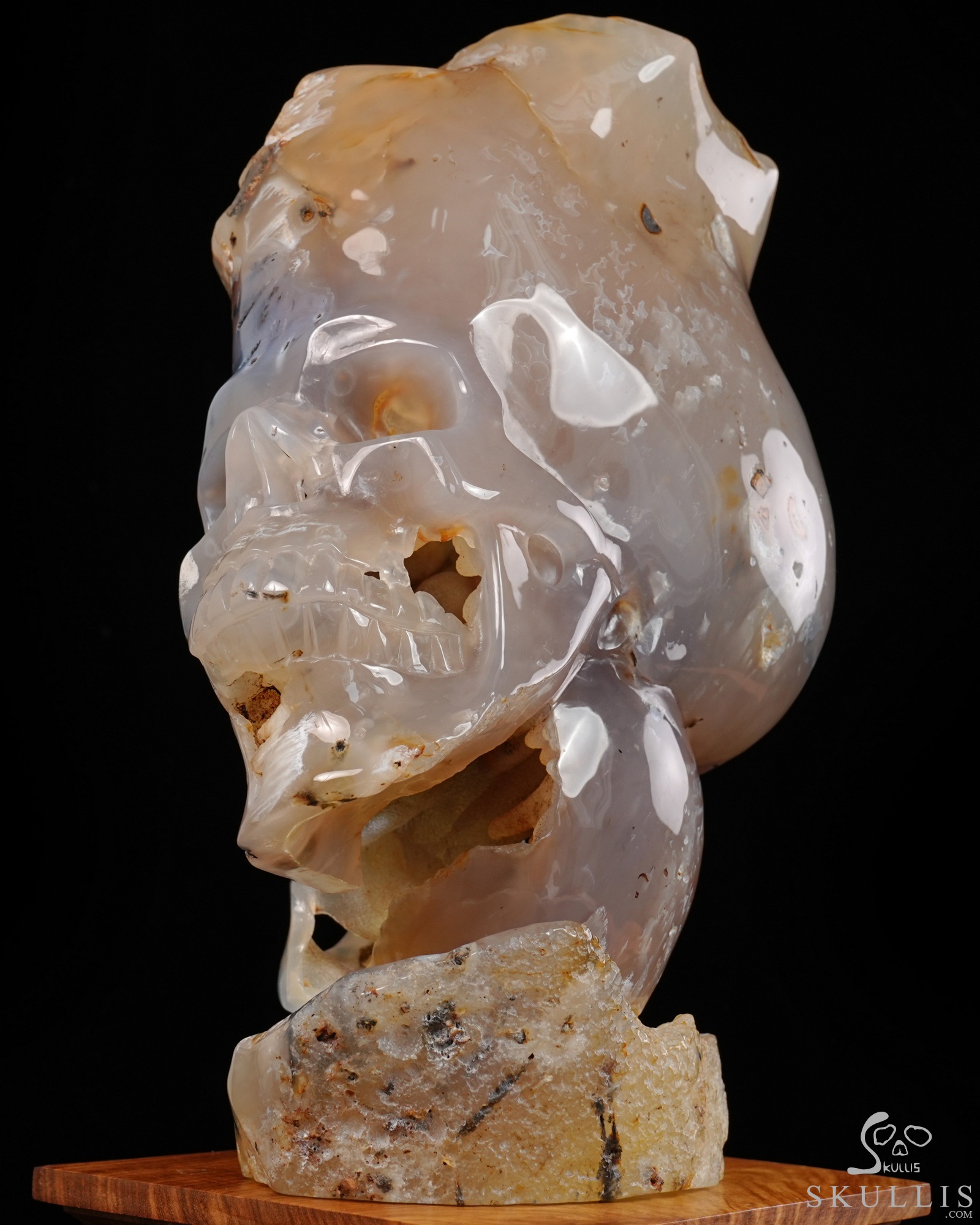 July 9, 2026 ACSAD (A Crystal Skull a Day) - Heaven Grows Here - 12.6" Agate Carved Double Crystal Skulls Fine Art Sculpture, Crystal Healing July 9, 2026 ACSAD (A Crystal Skull a Day) - Heaven Grows Here - 12.6" Agate Carved Double Crystal Skulls Fine Art Sculpture, Crystal Healing