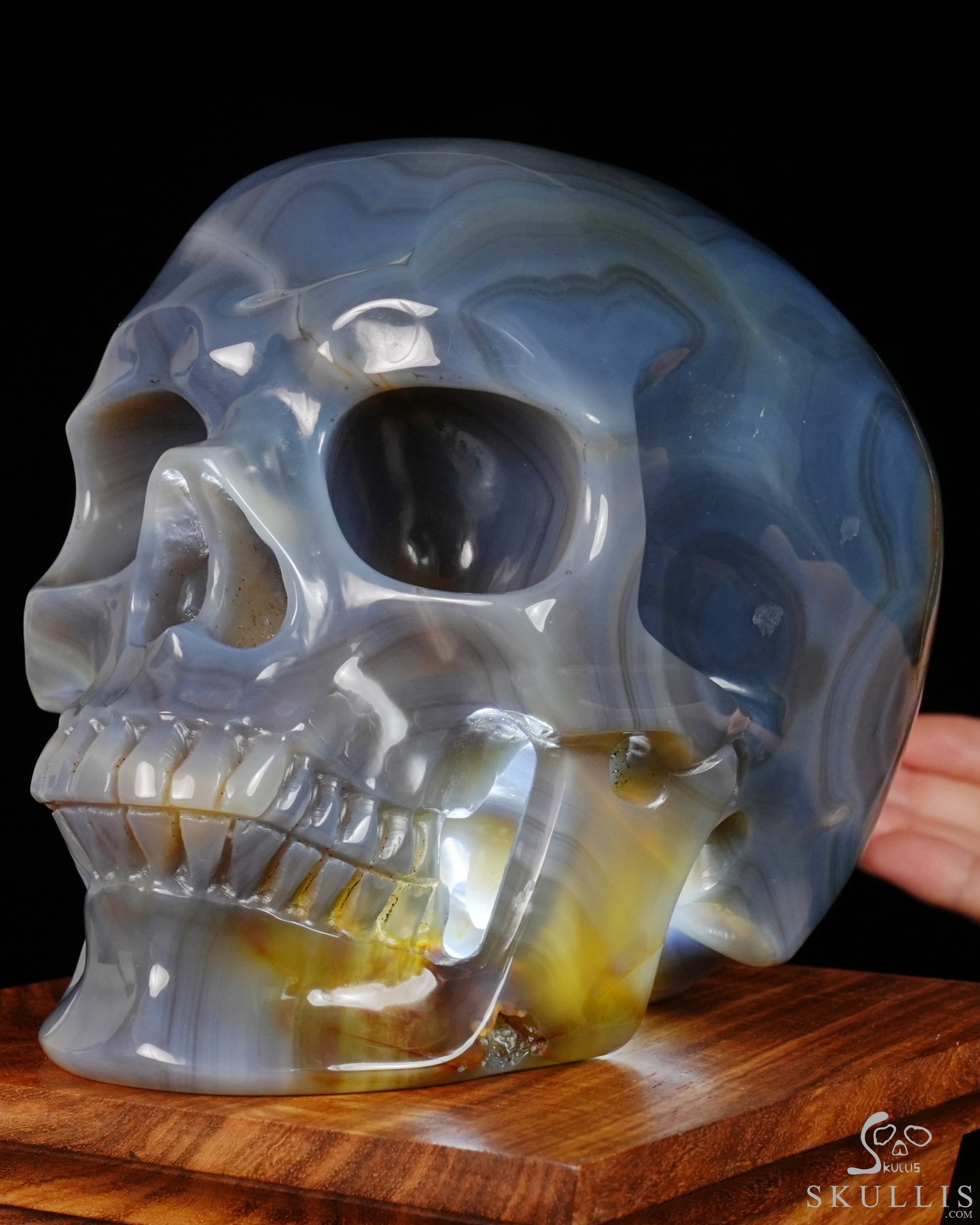 Lifesized 6.9" Premium Brazilian Agate Hand Carved Crystal Skull, Super Realistic, Crystal Healing Lifesized 6.9" Premium Brazilian Agate Hand Carved Crystal Skull, Super Realistic, Crystal Healing